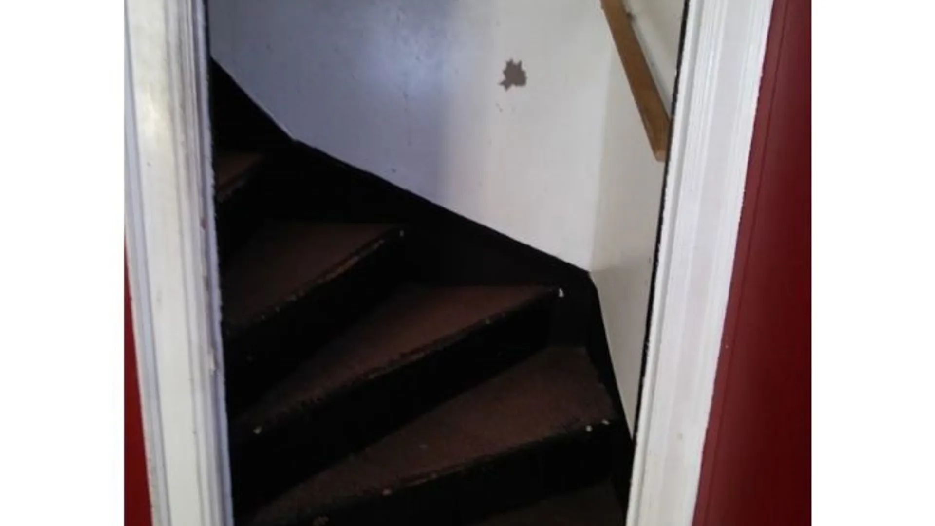 Property at 81 Thompson Street, Buffalo, NY 14207 11