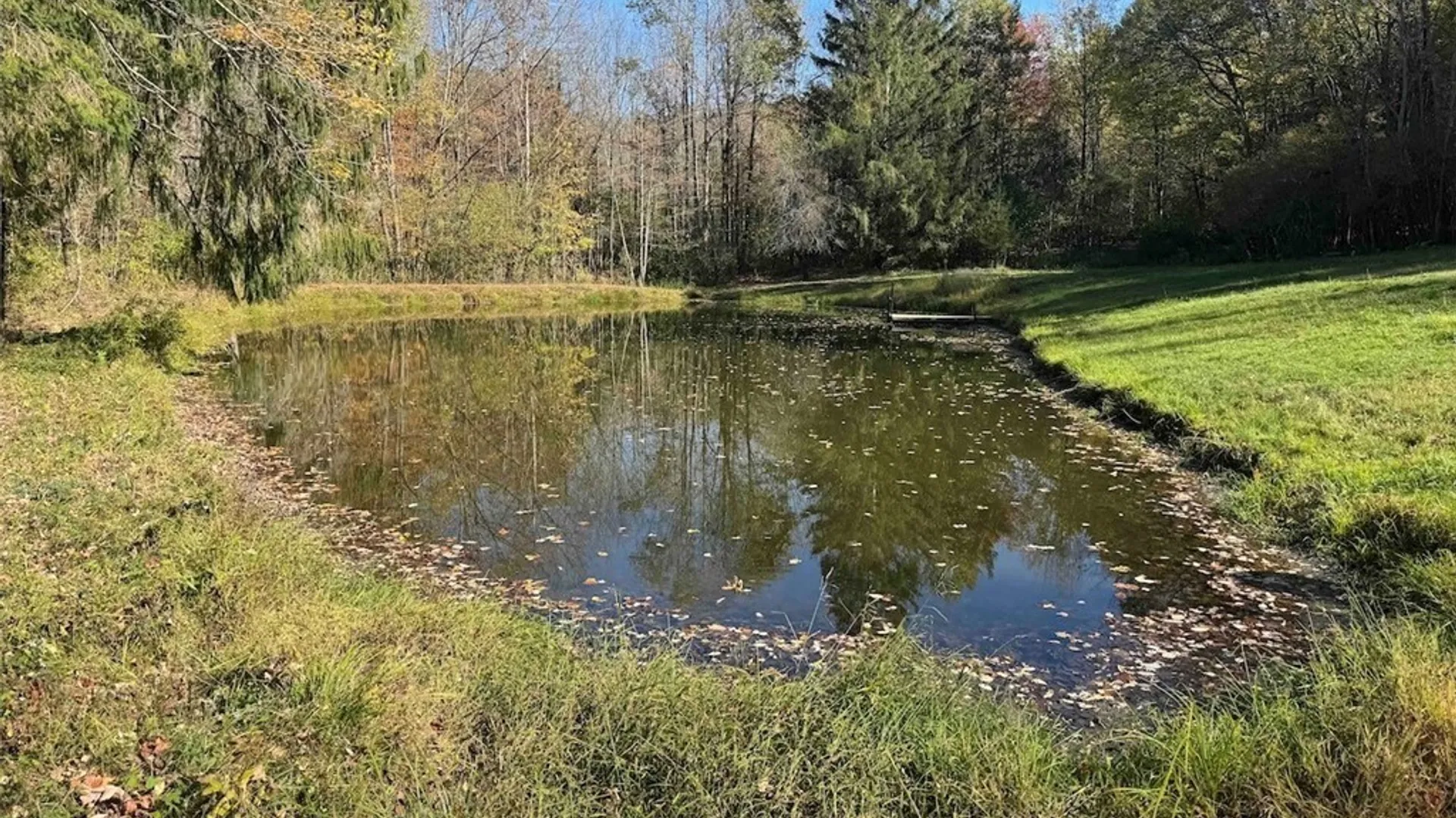Property at 2175 Cemetery Hill Road, Franklinville, NY 14737 41