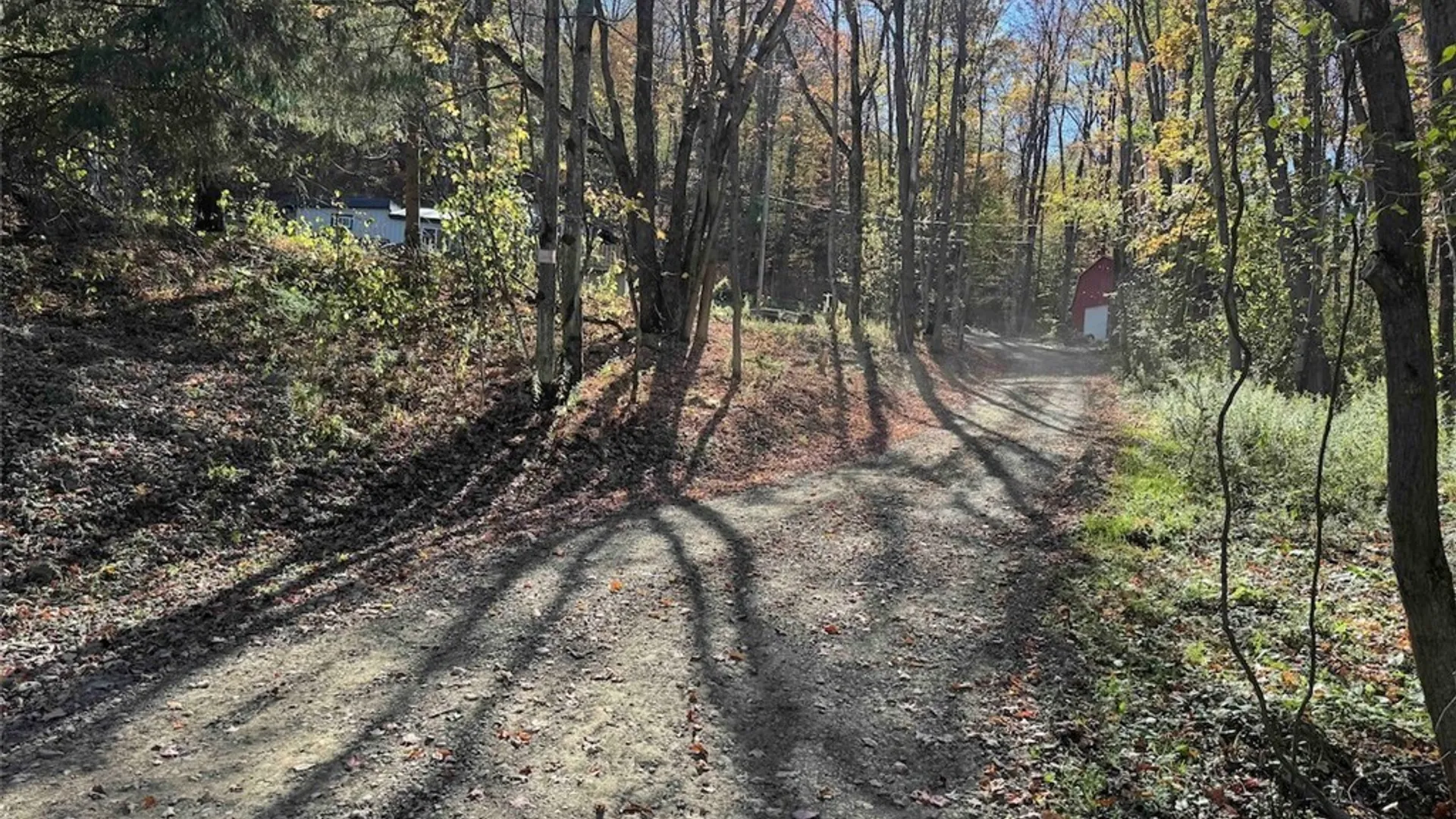 Property at 2175 Cemetery Hill Road, Franklinville, NY 14737 46