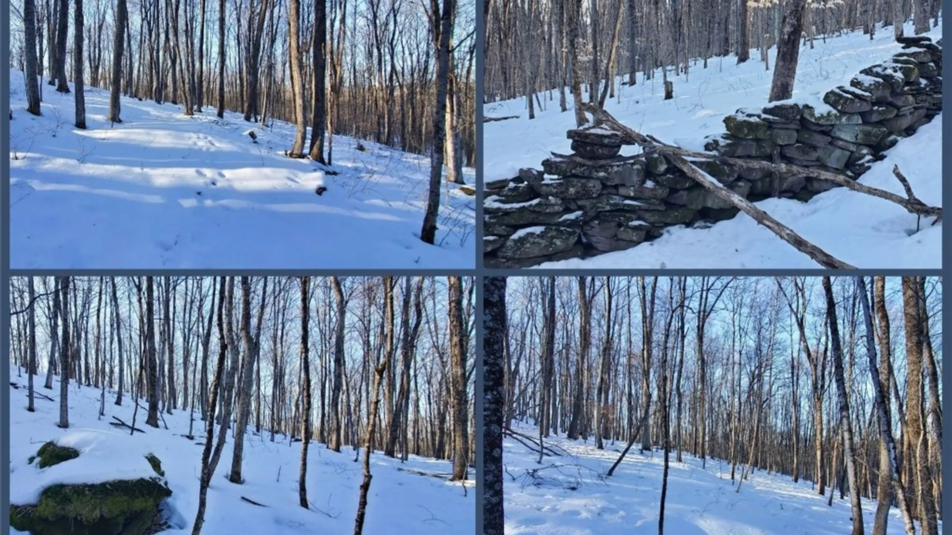Property at 731 East Handsome Brook Road, Franklin, NY 13775 46