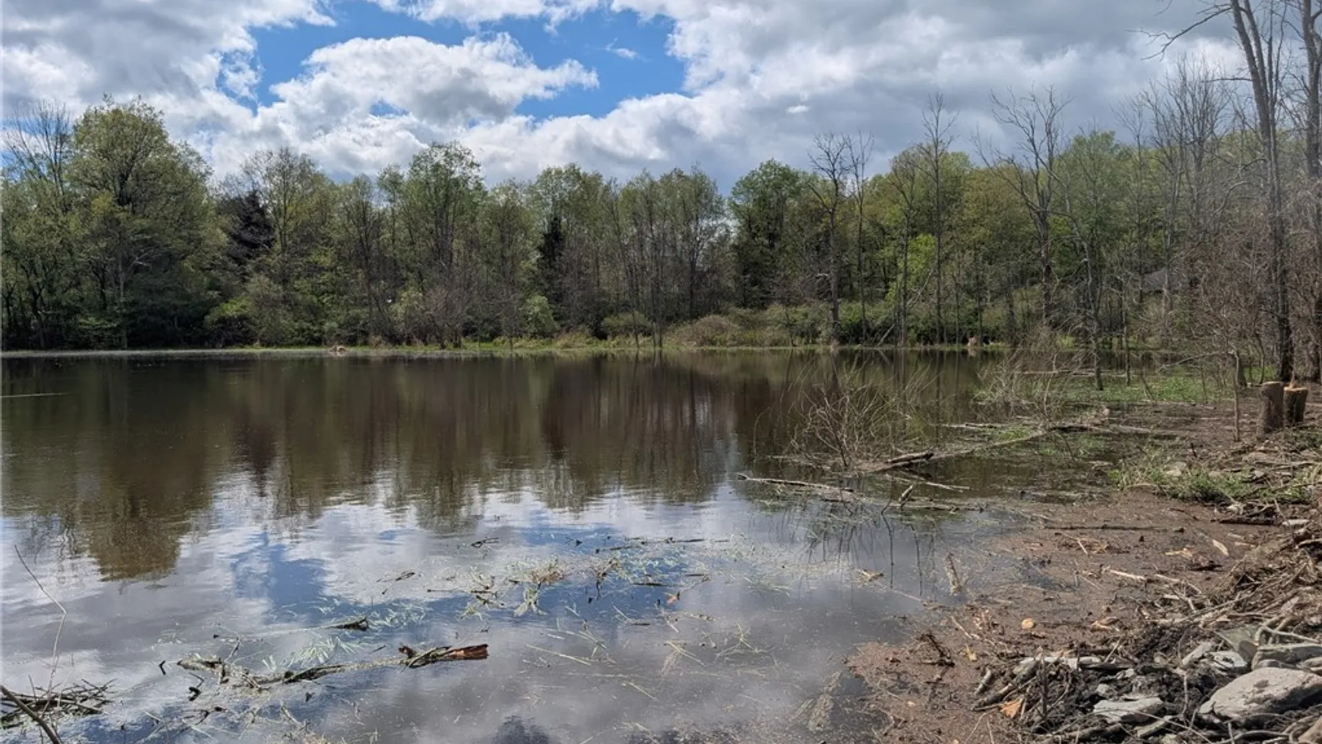 Property at 5408 State Route 53, Prattsburgh, NY 14512 10