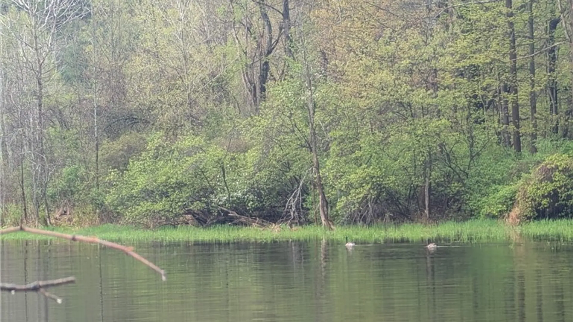 Property at 5408 State Route 53, Prattsburgh, NY 14512 11