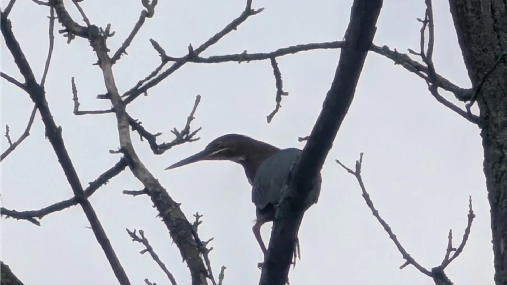 Property at 5408 State Route 53, Prattsburgh, NY 14512 17