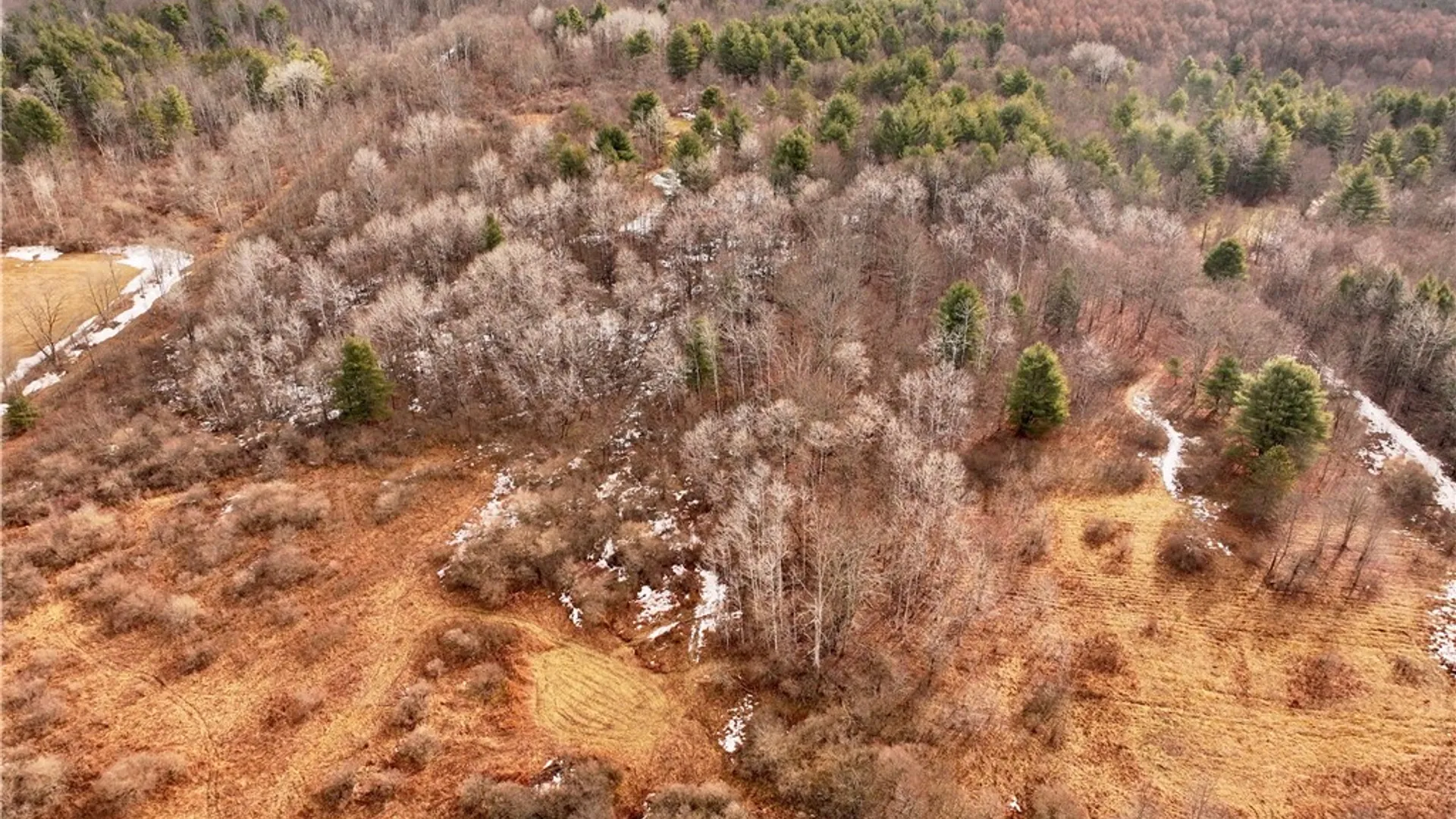 Property at Crumtown Rd, Spencer, NY 14883 4