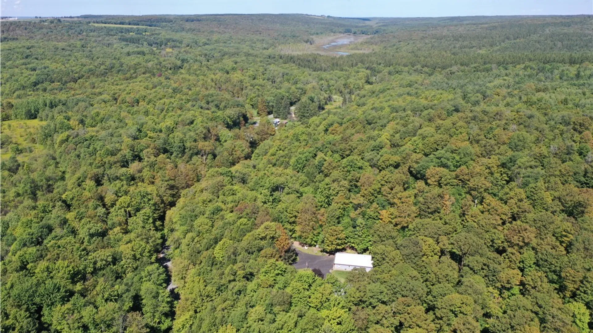 Property at 2332 Bear Swamp Rd, Sempronius, NY 13118 17