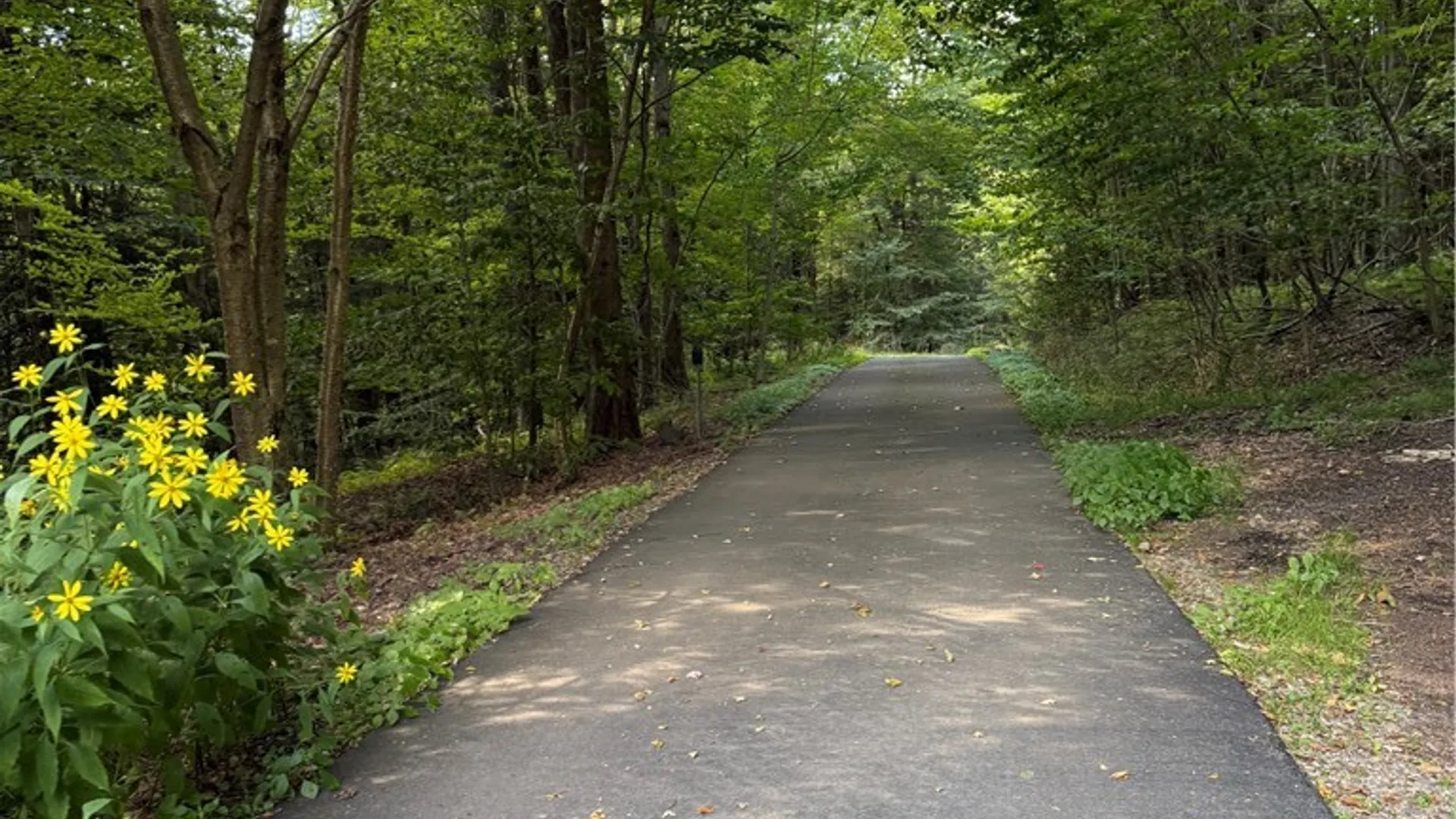 Property at 2332 Bear Swamp Rd, Sempronius, NY 13118 18