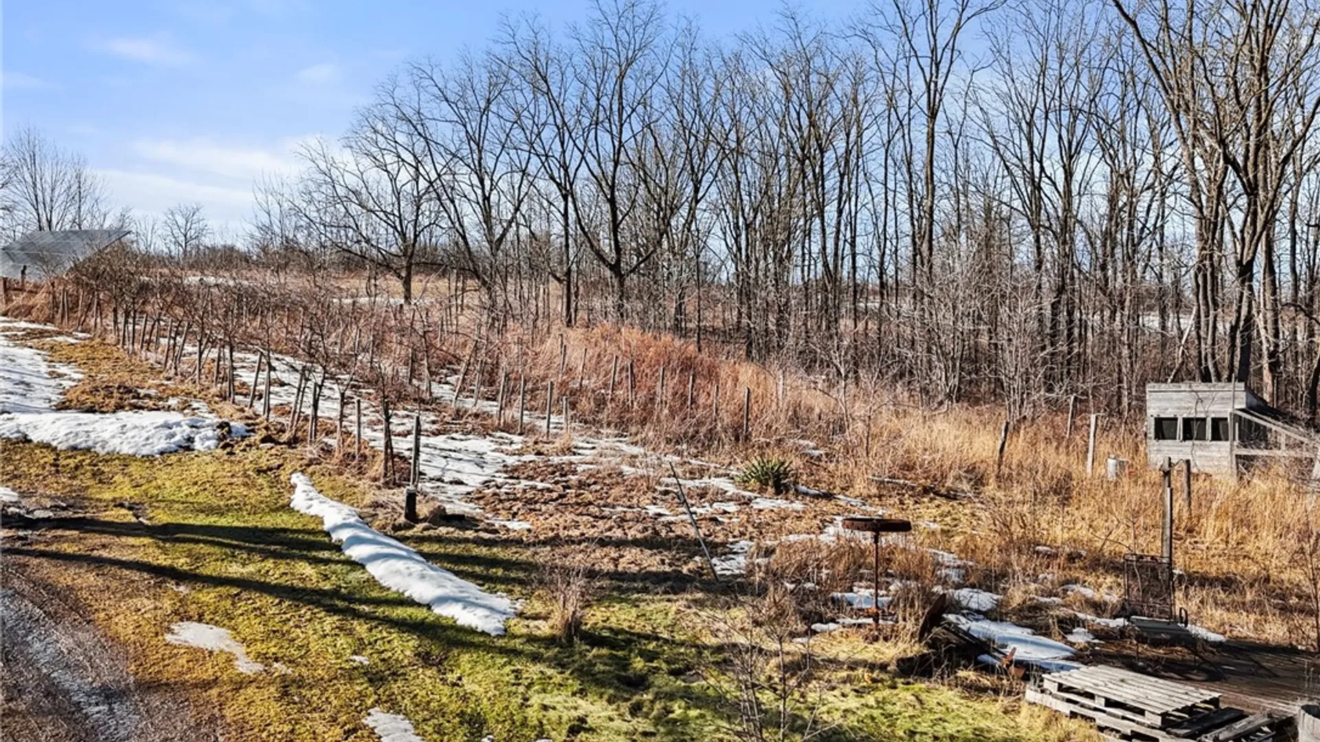 Property at 4115 Newtown Road, Hector, NY 14818 31