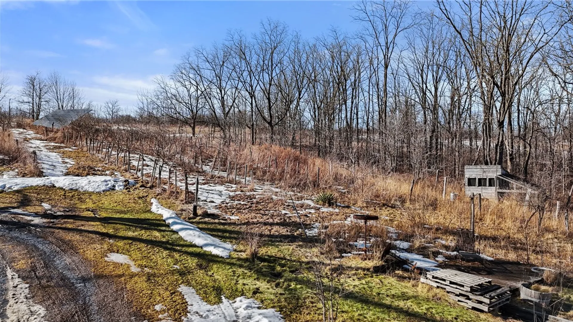 Property at 4115 Newtown Road, Hector, NY 14818 34