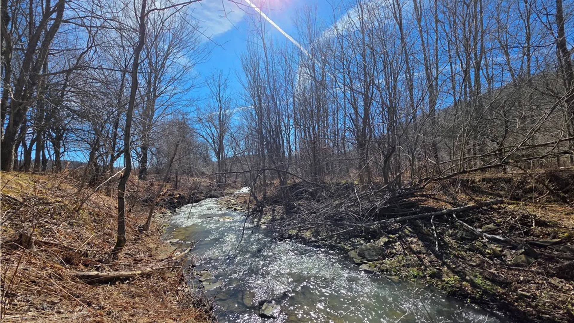 Property at 2797 Gunn Road, Troupsburg, NY 14885 49