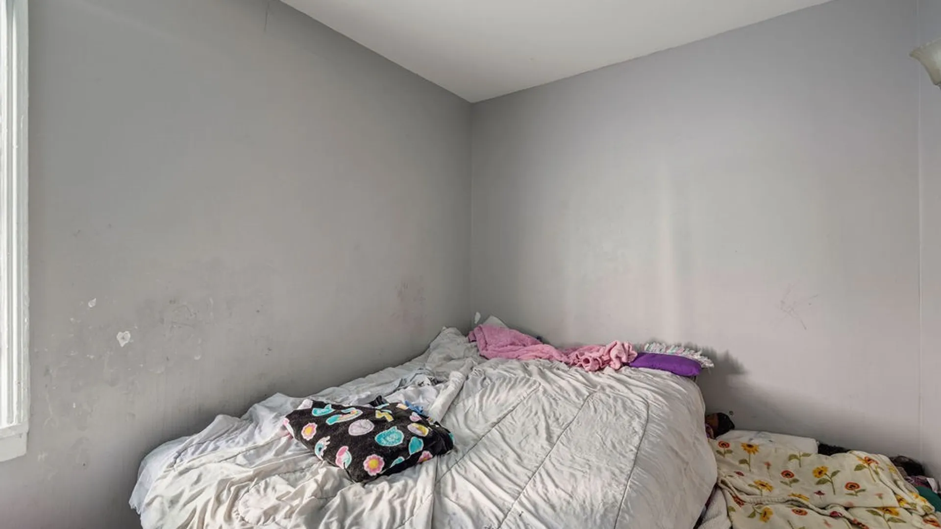 Property at 148 Potomac Avenue, Buffalo, NY 14213 40