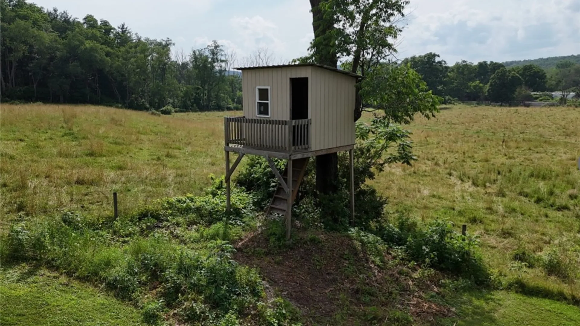 Property at 51 Goodrich Road, Tioga, NY 13827 7