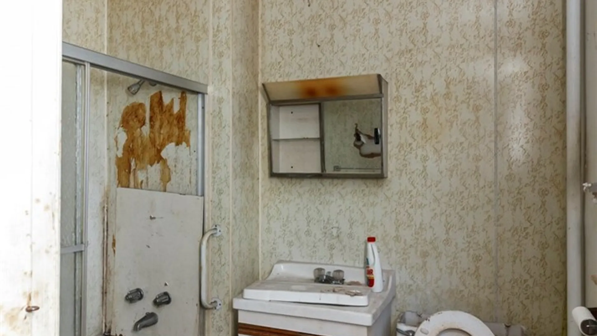 Property at 308 Adams Street, Buffalo, NY 14212 21