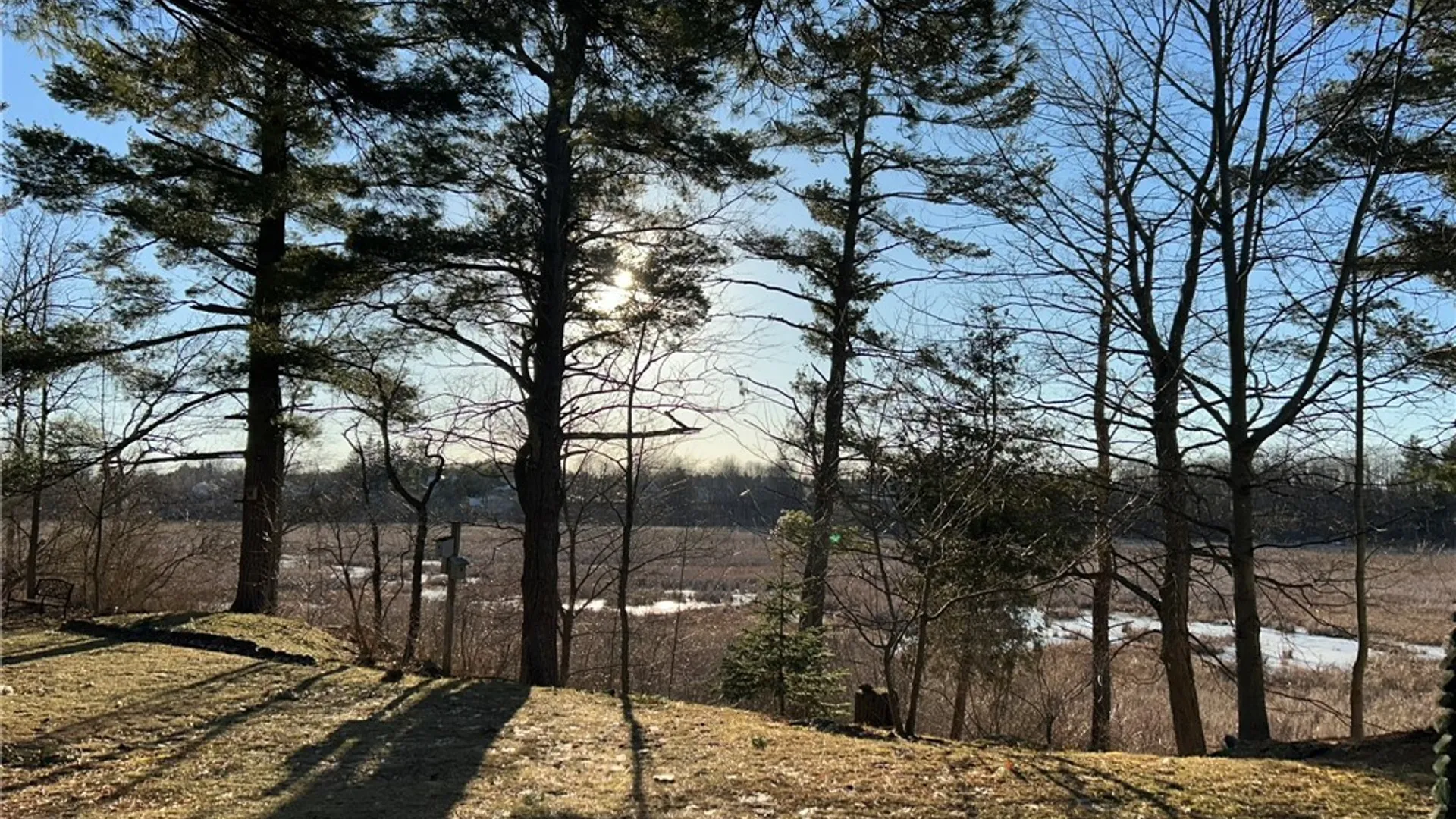 Property at 44001 Stine Road, Alexandria, NY 13679 38