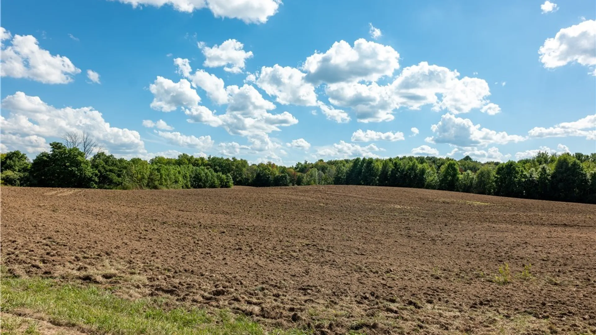 Property at 36 Whitewood Tract, Granby, NY 13135 21