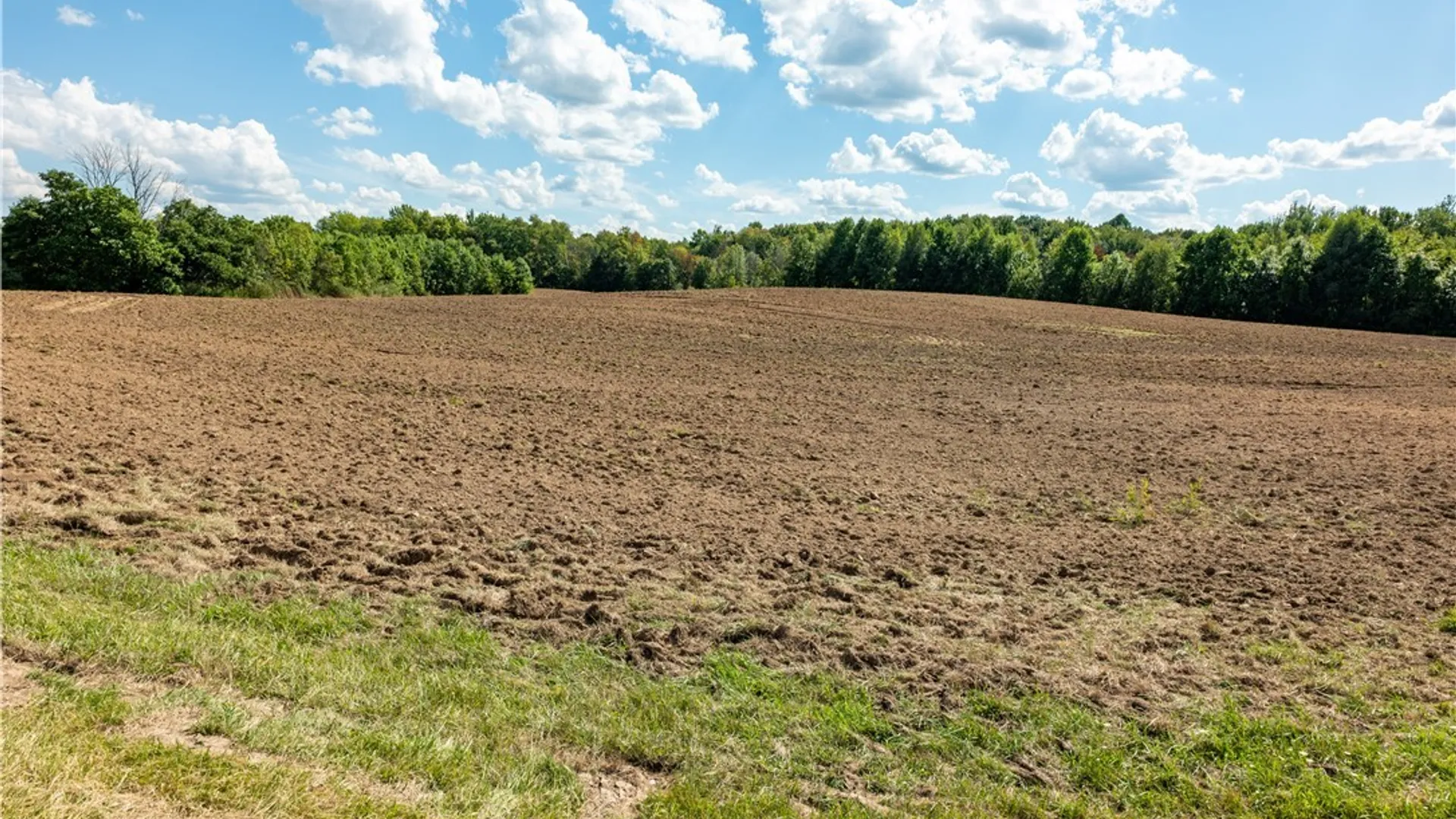 Property at 36 Whitewood Tract, Granby, NY 13135 22