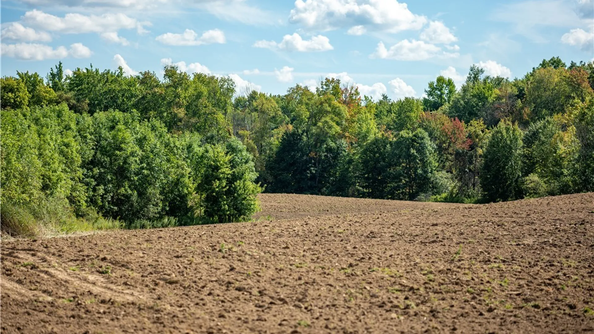 Property at 36 Whitewood Tract, Granby, NY 13135 30