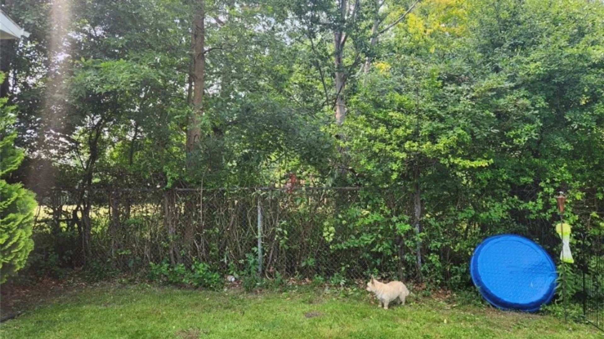 Property at 5658 Juno Drive, Hamburg, NY 14085 5