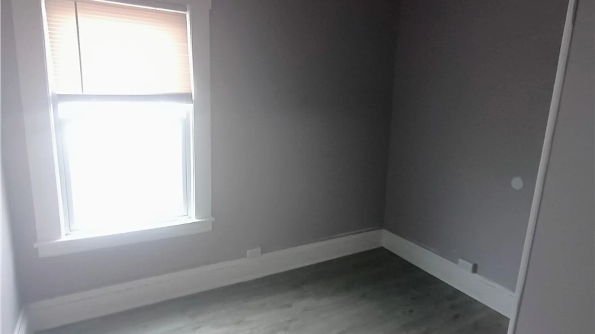 Property at 113 Olive Street, Syracuse, NY 13204 16
