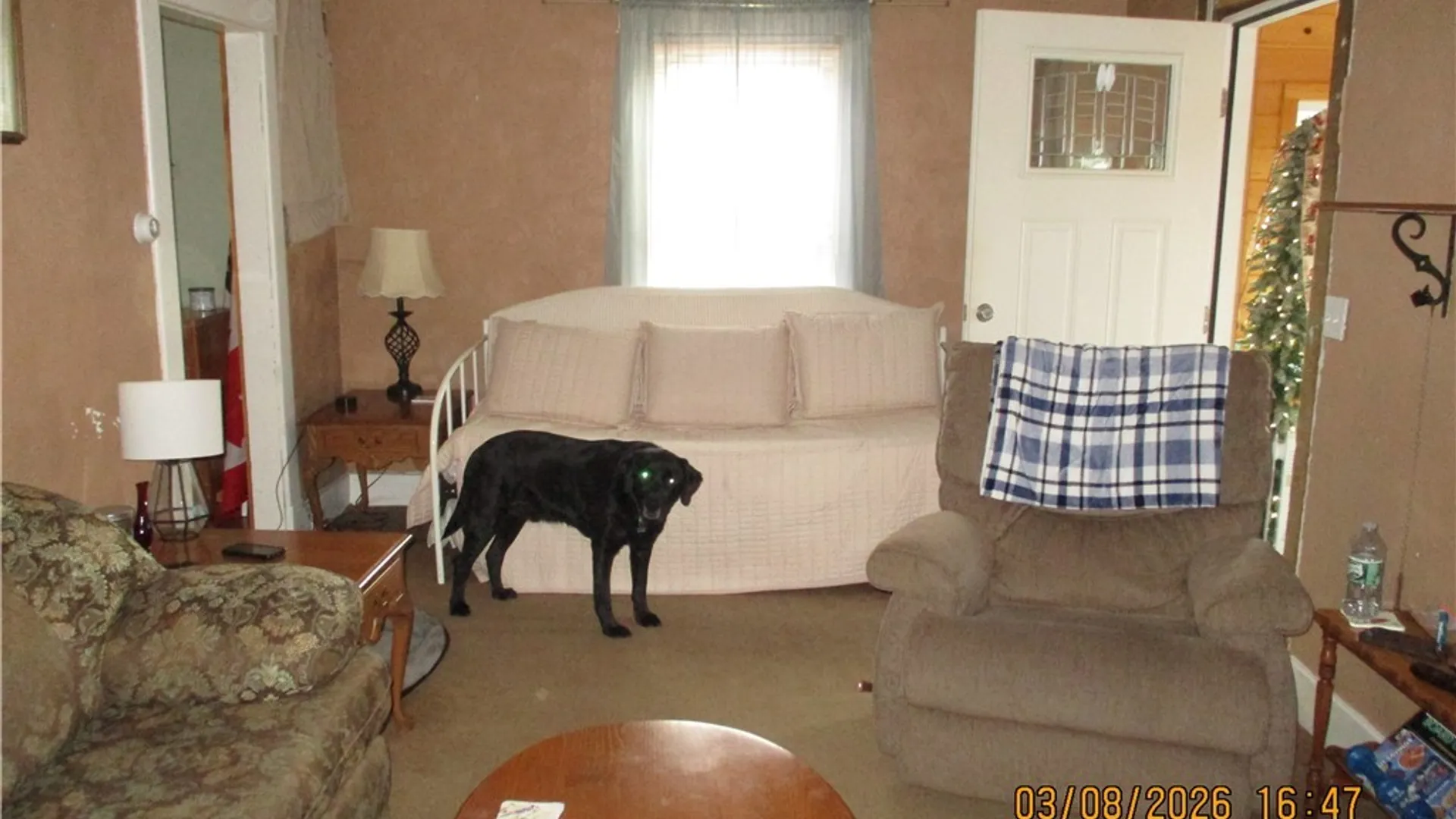 Property at 24 Bolton Avenue, Alexandria, NY 13607 14