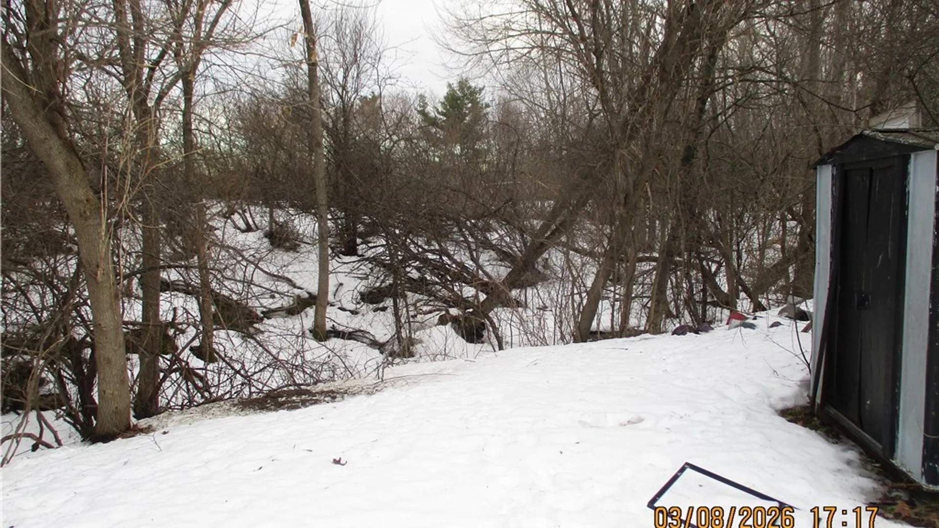 Property at 24 Bolton Avenue, Alexandria, NY 13607 41