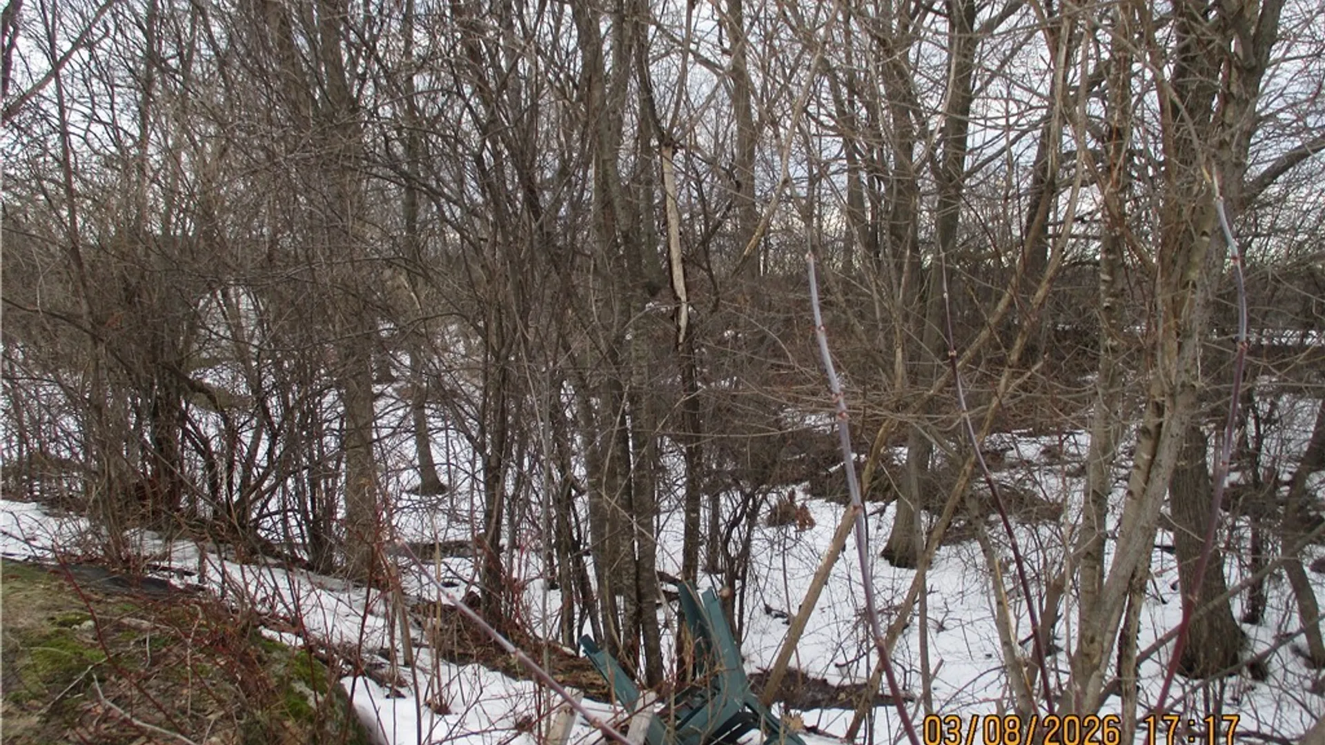 Property at 24 Bolton Avenue, Alexandria, NY 13607 42