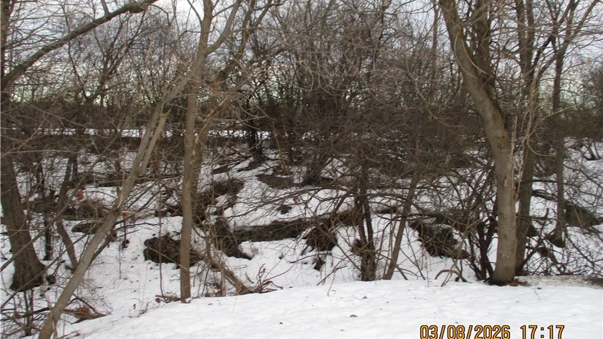 Property at 24 Bolton Avenue, Alexandria, NY 13607 43