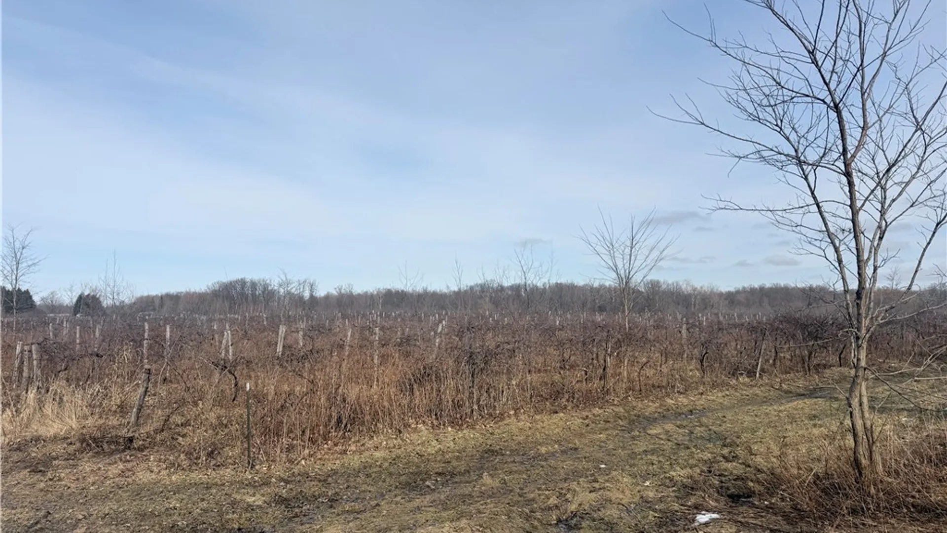 Property at North Rd E, Pomfret, NY 14063 3