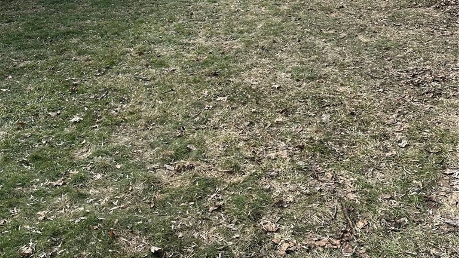 Property at 228 Third Avenue, Herkimer, NY 13350 6