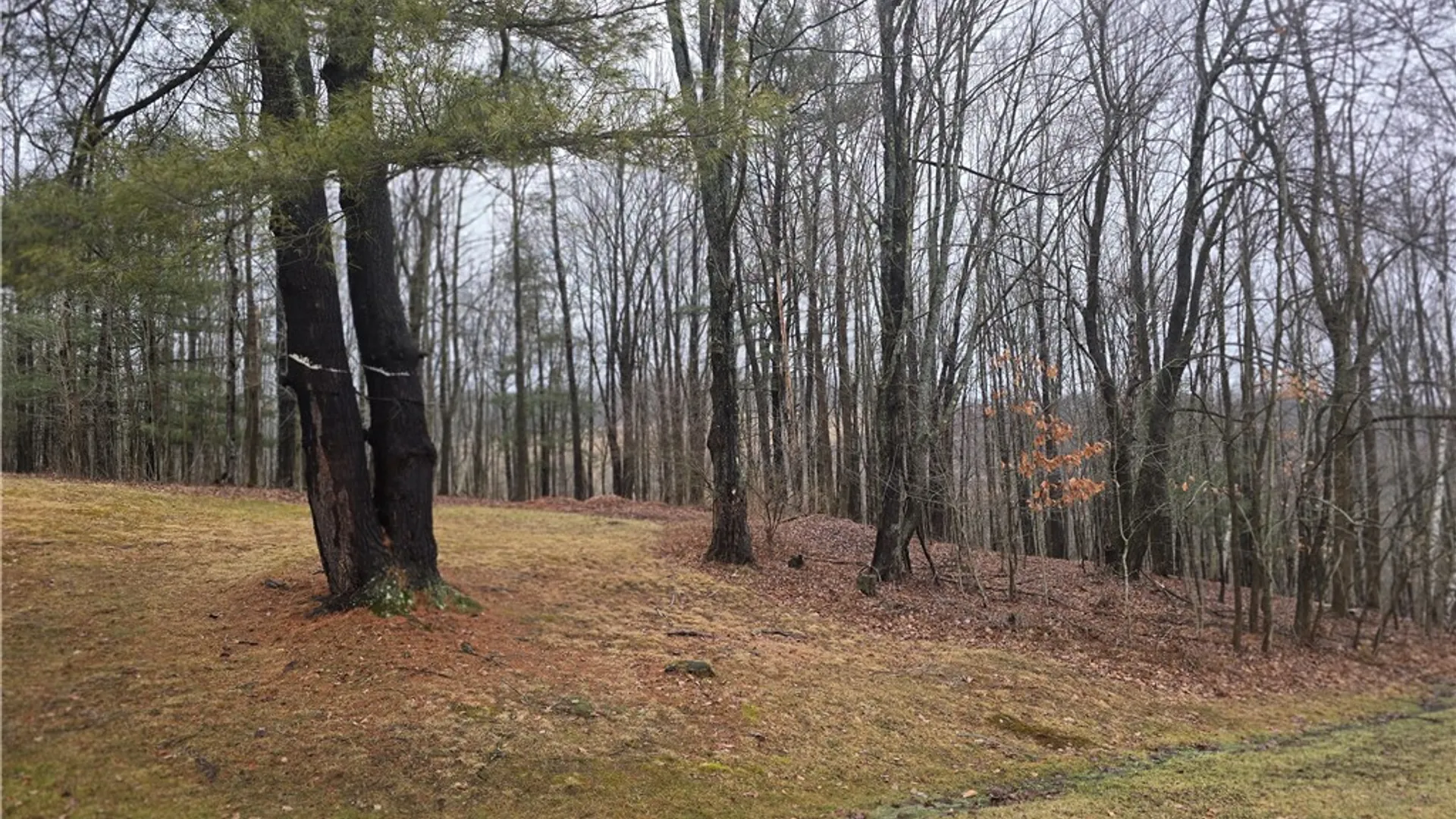 Property at 780 Christian Hollow Road, Southport, NY 14871 11