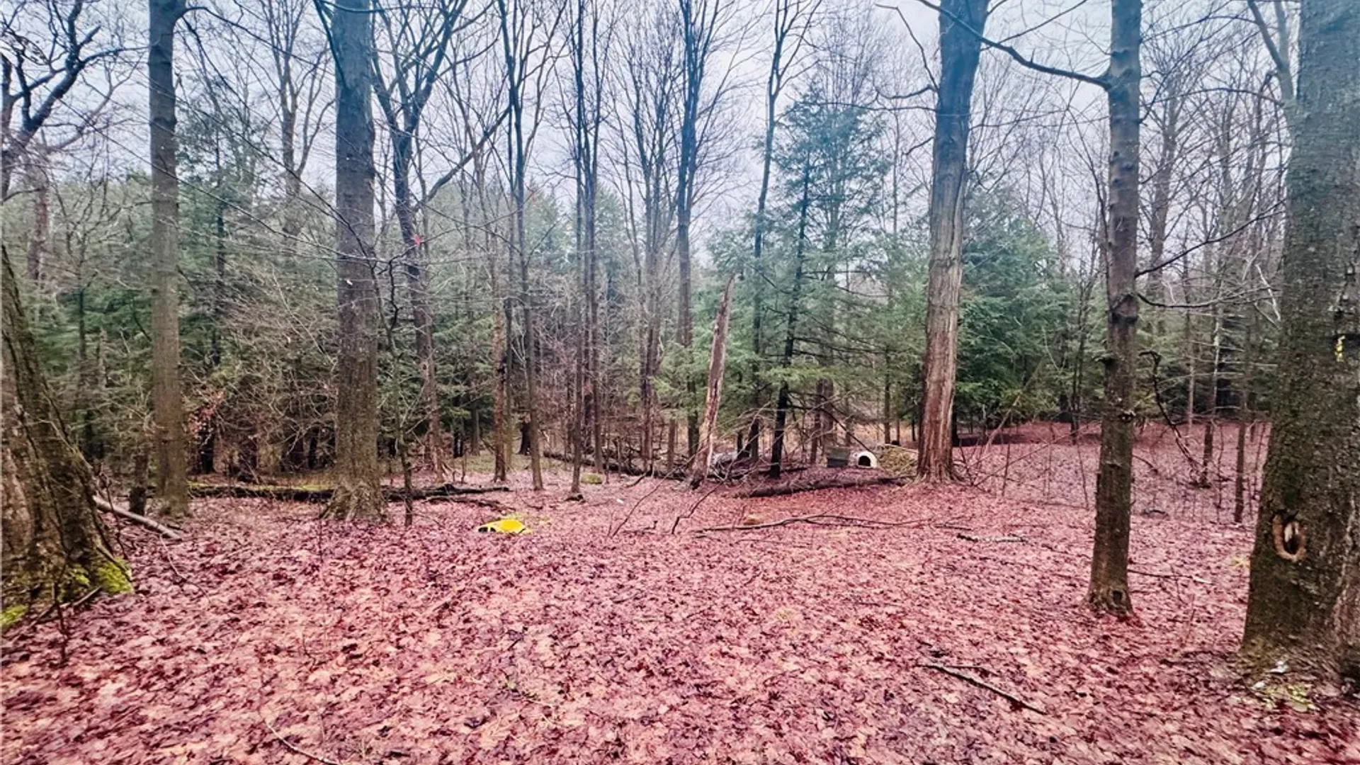 Property at 9492 Sprague Road, Ripley, NY 14775 7