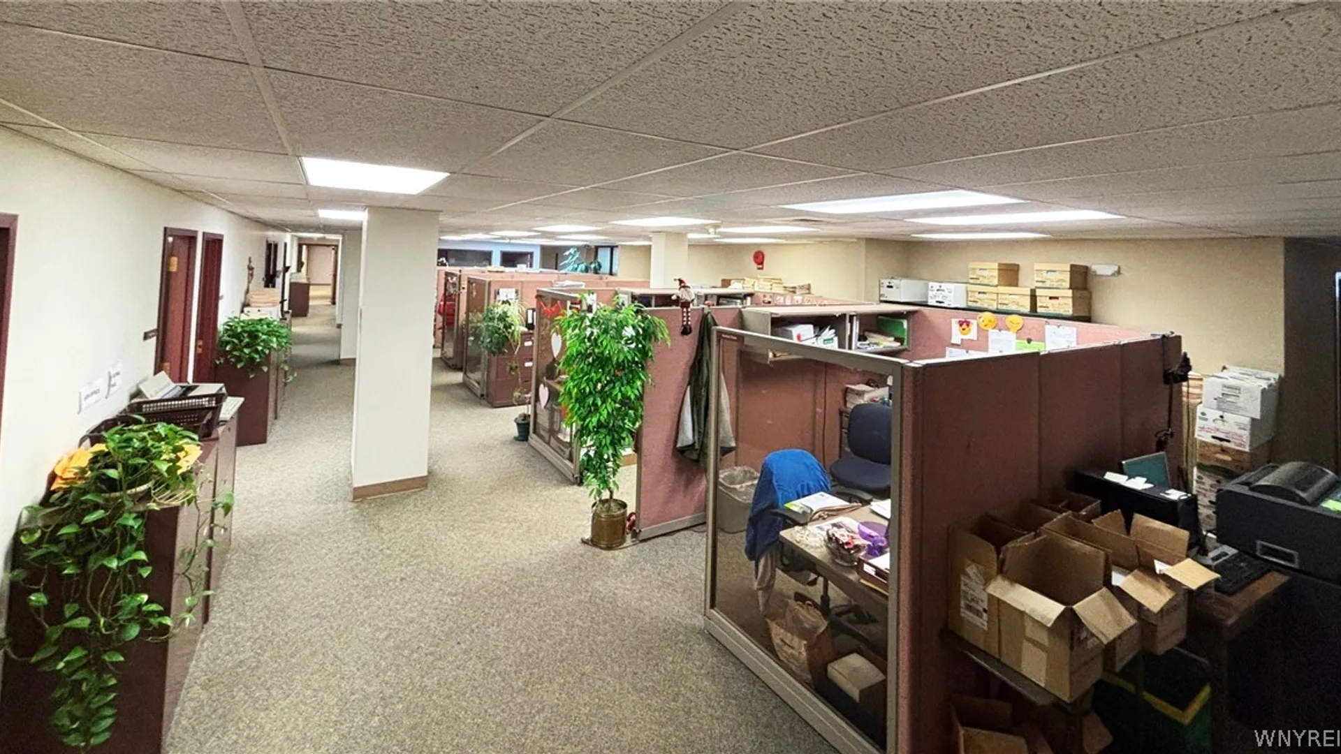 Property at 785 Main Street, Buffalo, NY 14203 23