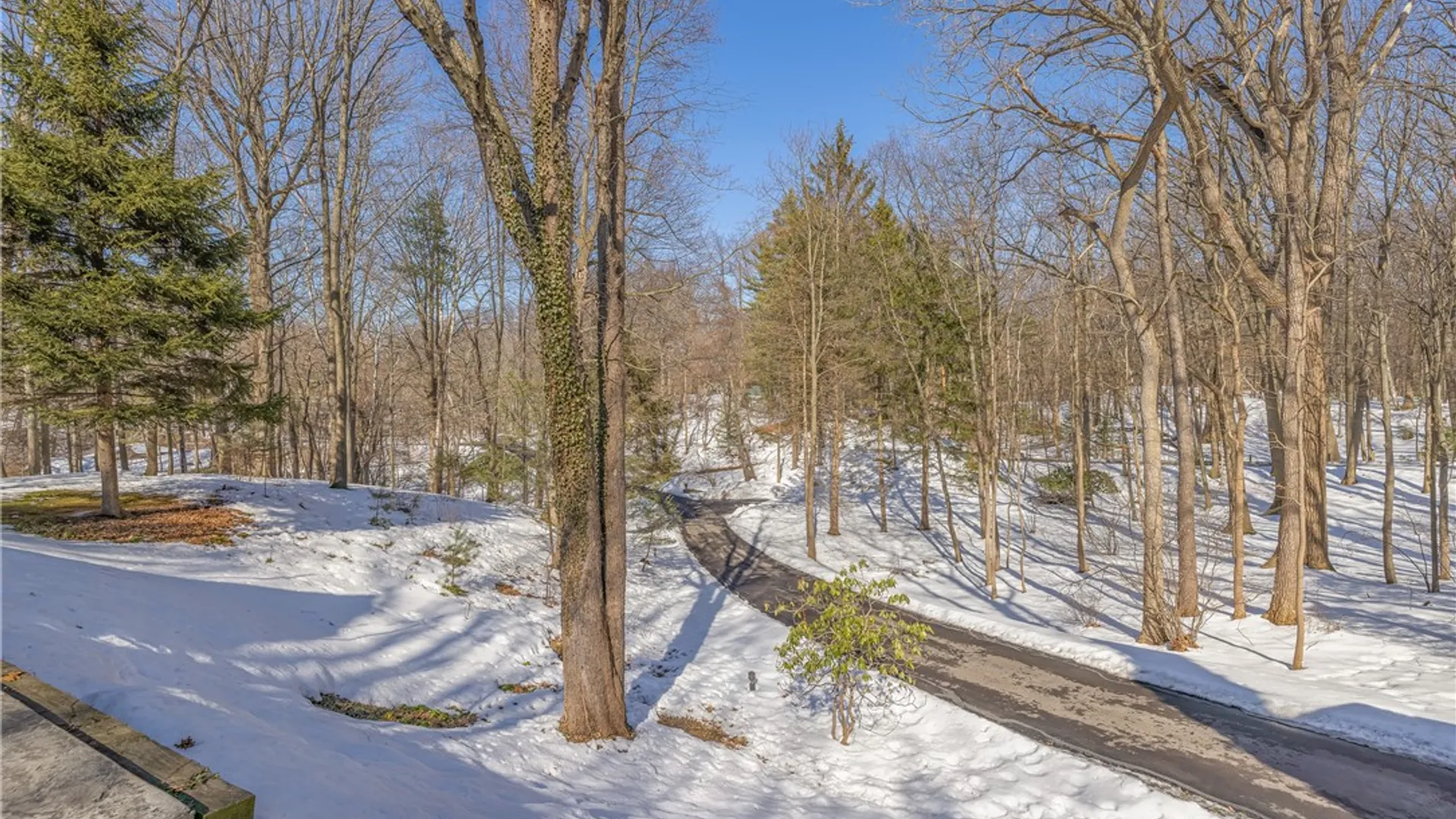 Property at 109 Tanglewood Court, Webster, NY 14580 47