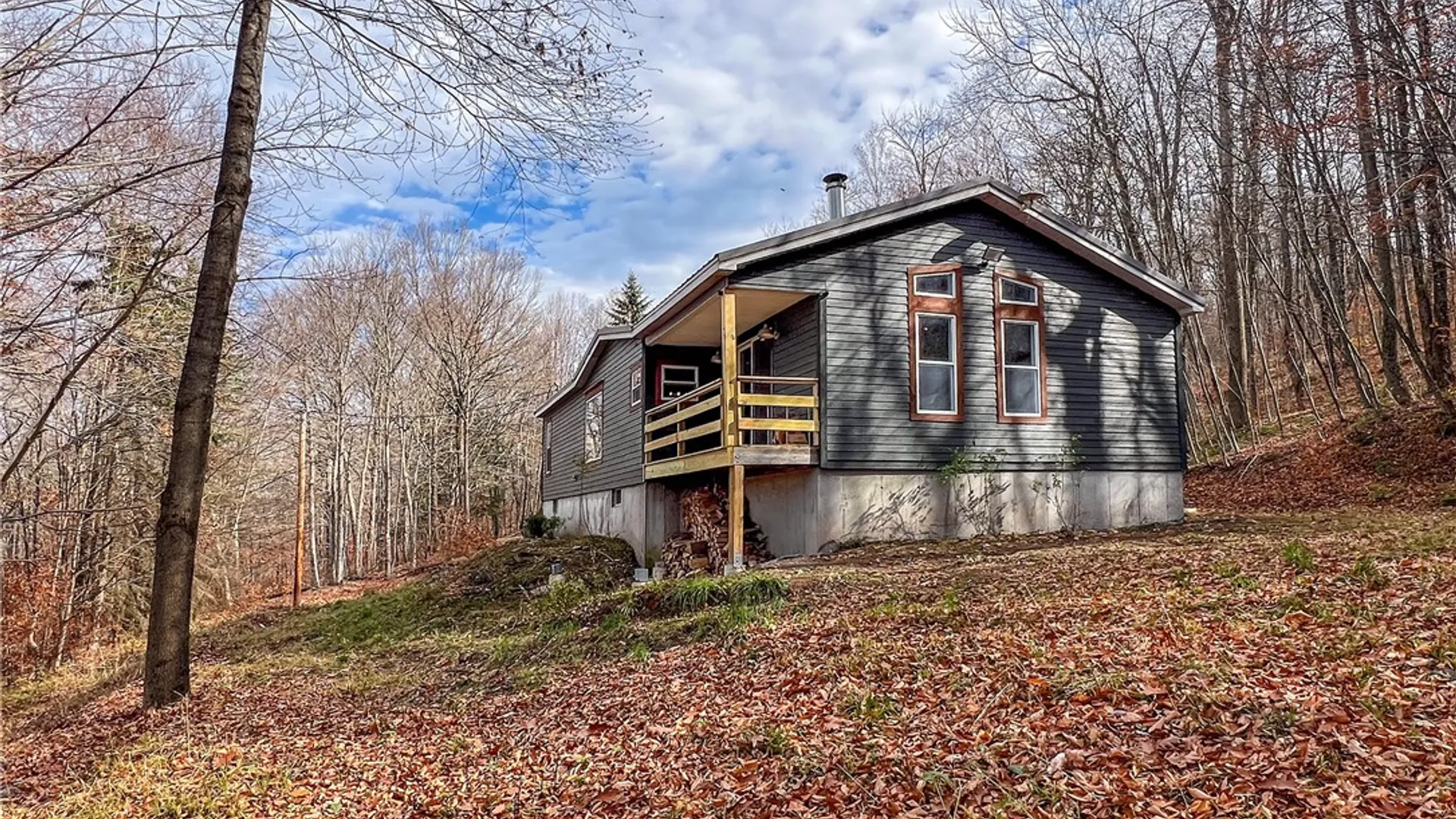 Property at 464 Curtis Lane, Hamden, NY 13782 10