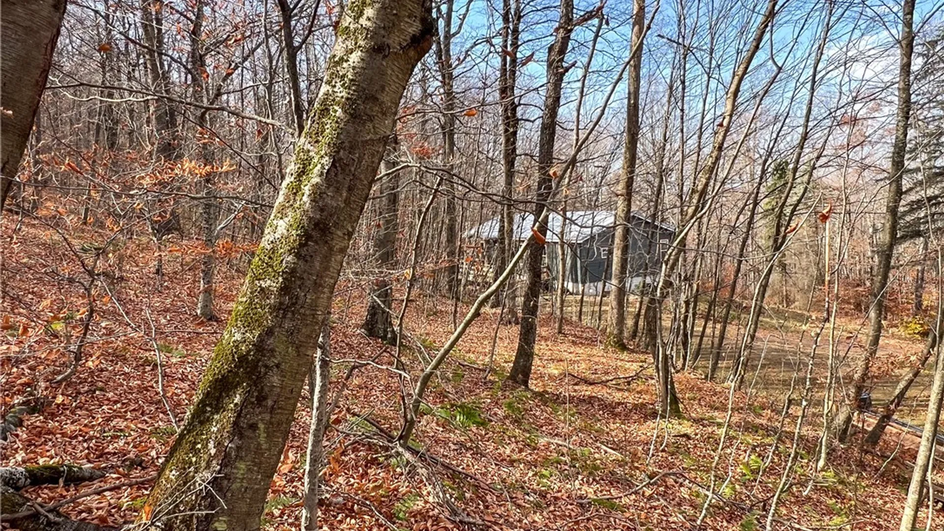 Property at 464 Curtis Lane, Hamden, NY 13782 40