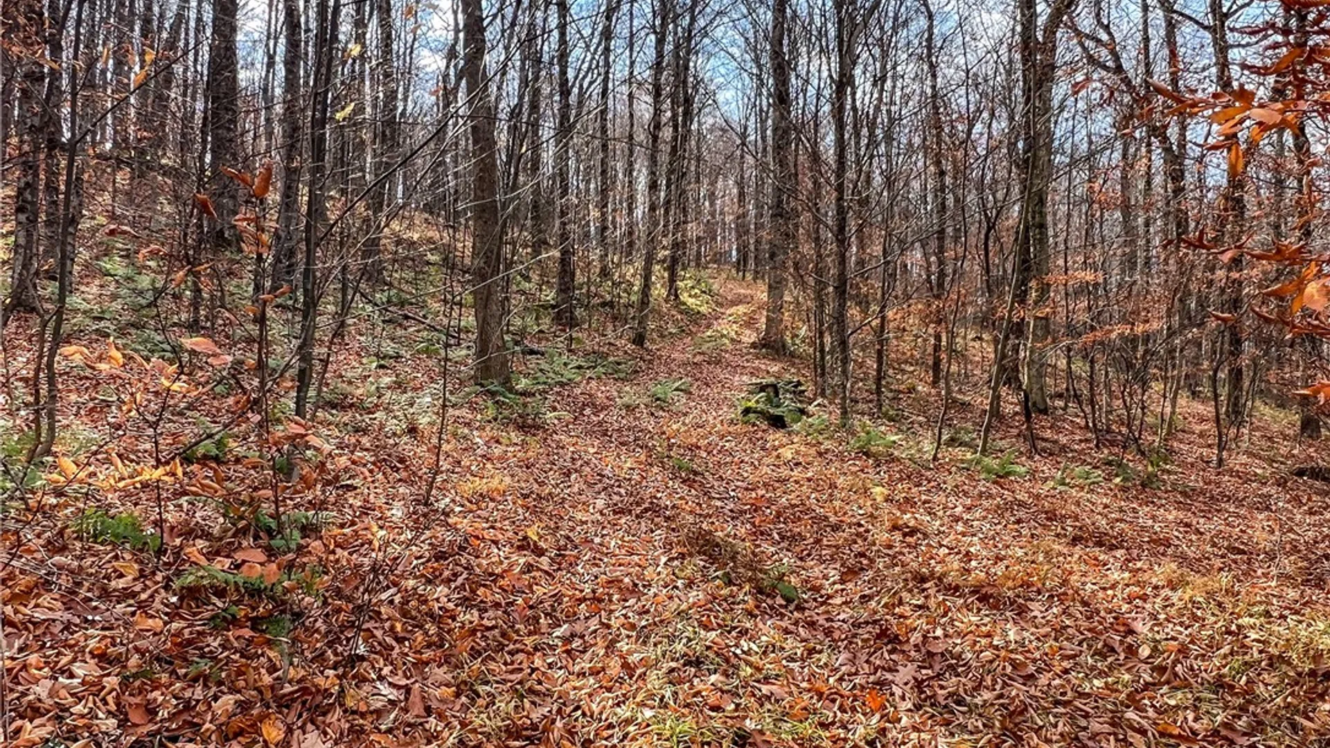 Property at 464 Curtis Lane, Hamden, NY 13782 41