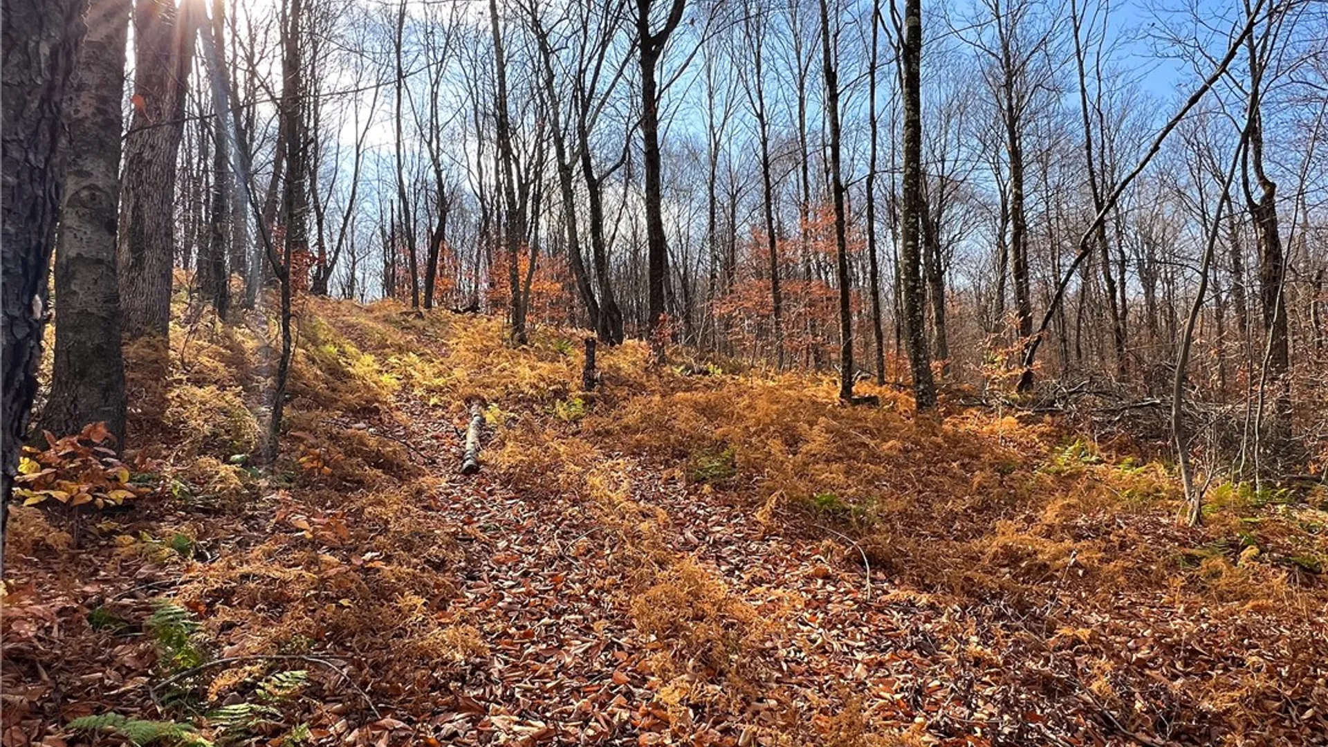 Property at 464 Curtis Lane, Hamden, NY 13782 43