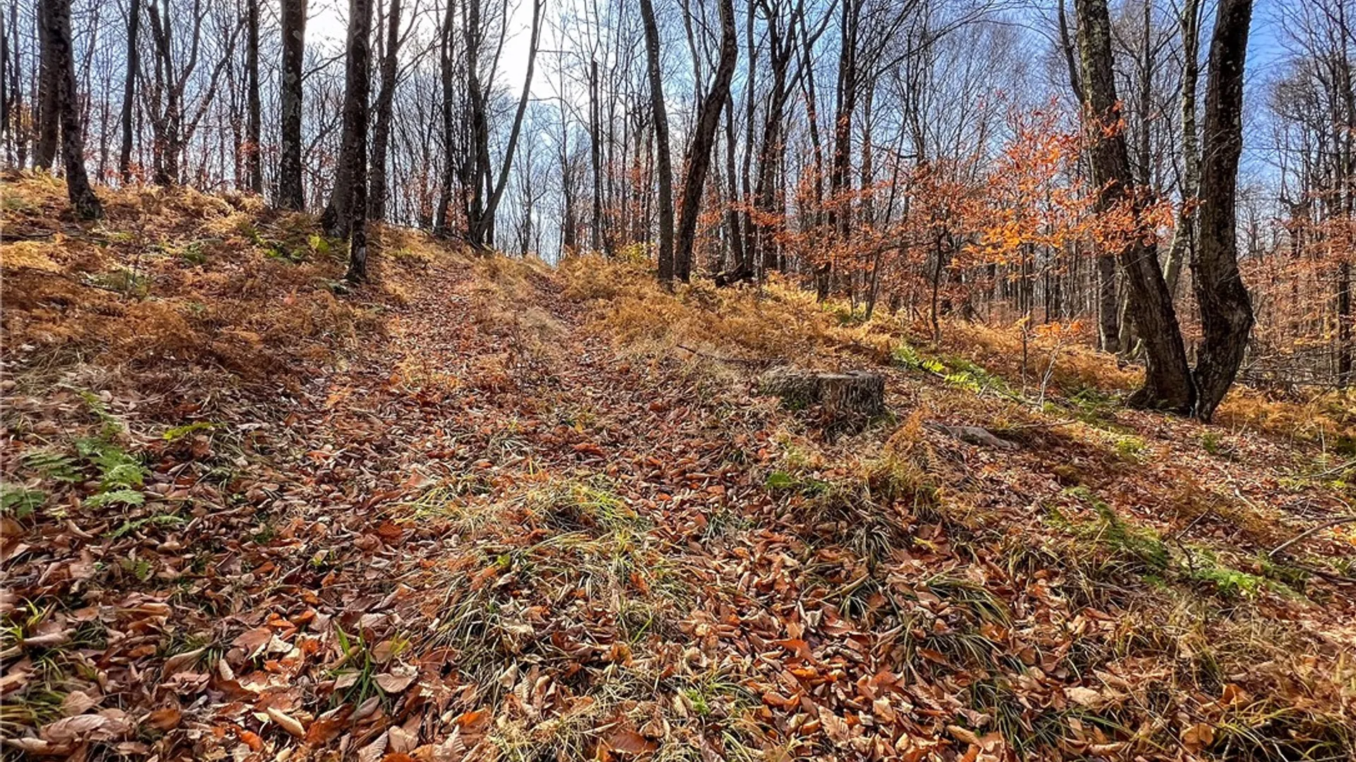 Property at 464 Curtis Lane, Hamden, NY 13782 44