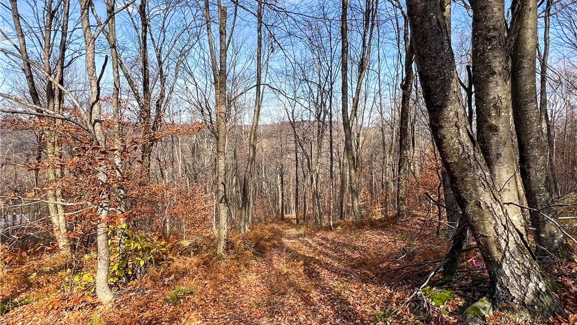 Property at 464 Curtis Lane, Hamden, NY 13782 45