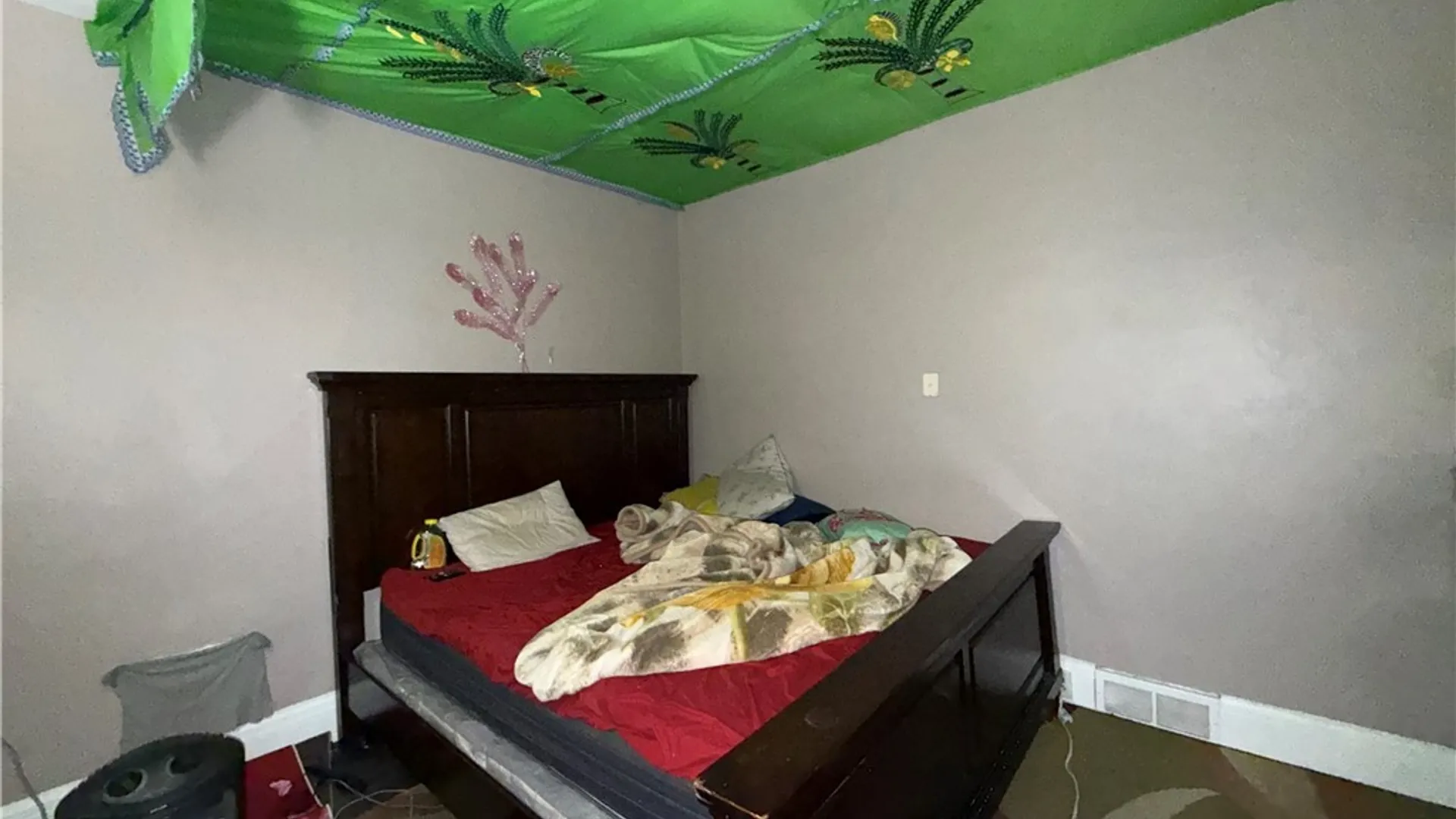 Property at 23 Albert Avenue, Buffalo, NY 14207 13