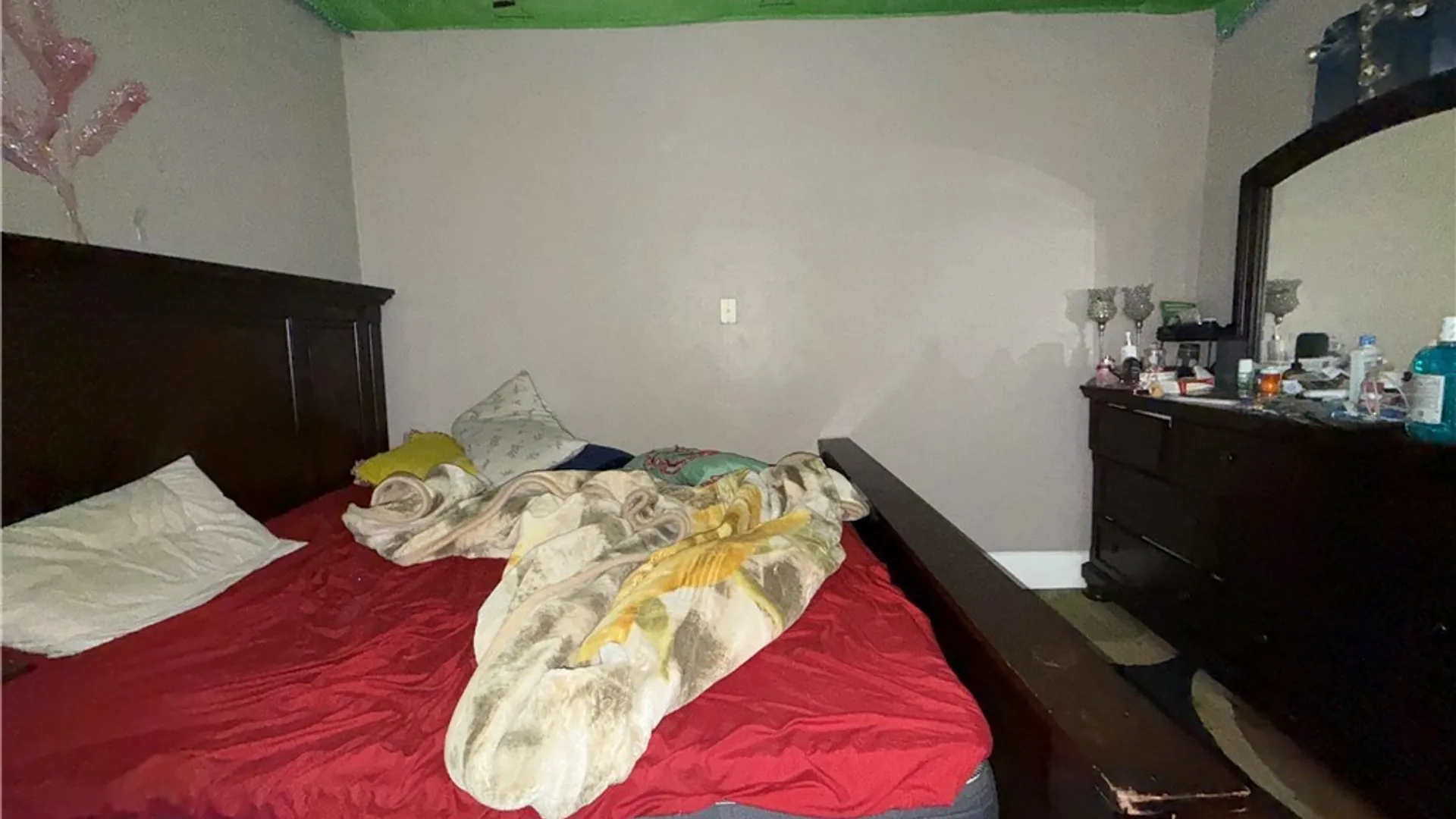 Property at 23 Albert Avenue, Buffalo, NY 14207 14