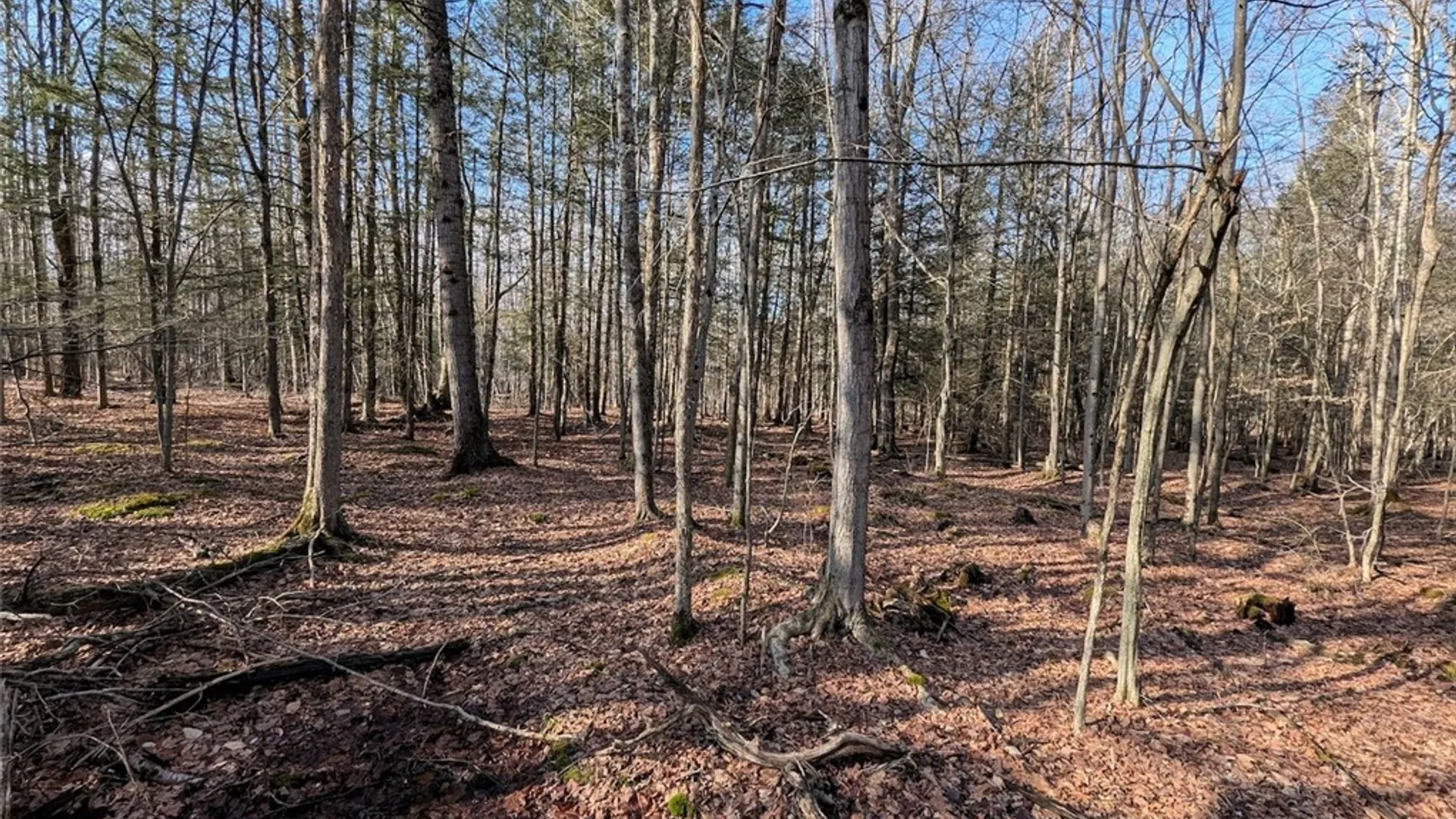 Property at South Road, Rathbone, NY 14801 10