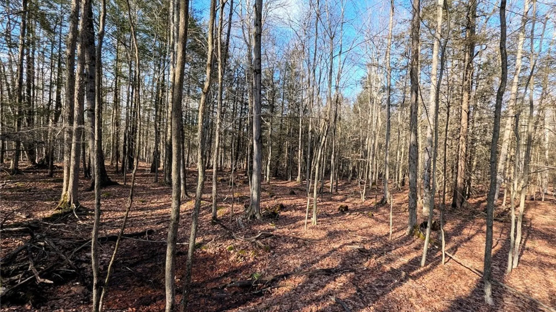 Property at South Road, Rathbone, NY 14801 11