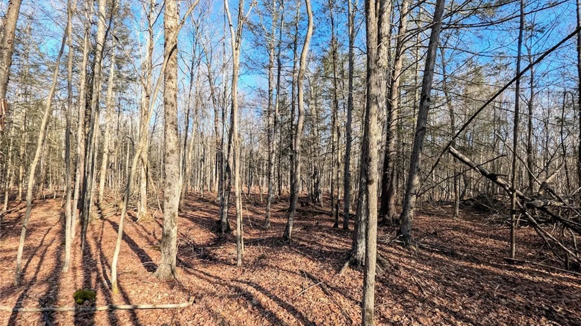 Property at South Road, Rathbone, NY 14801 12