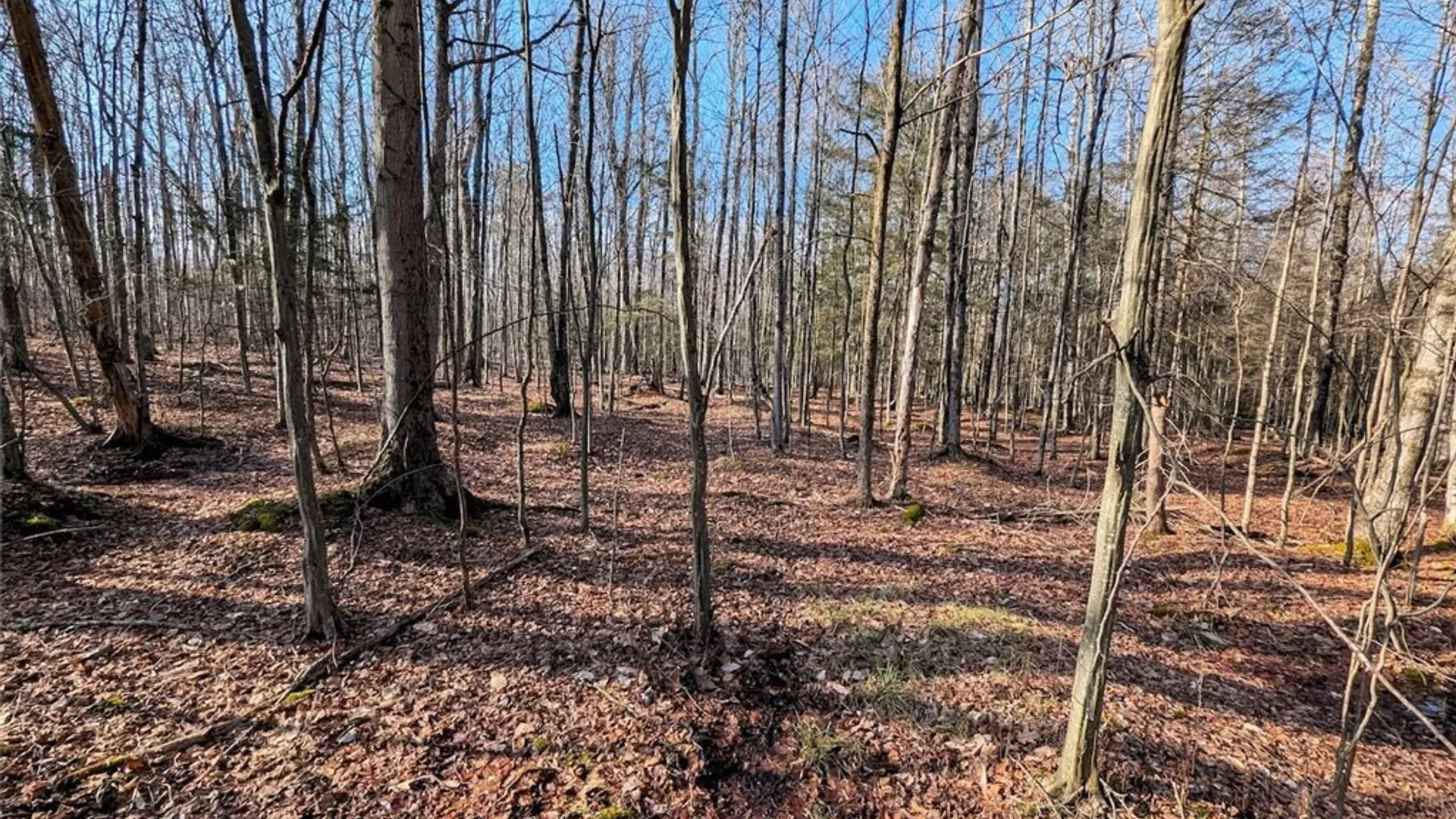 Property at South Road, Rathbone, NY 14801 14