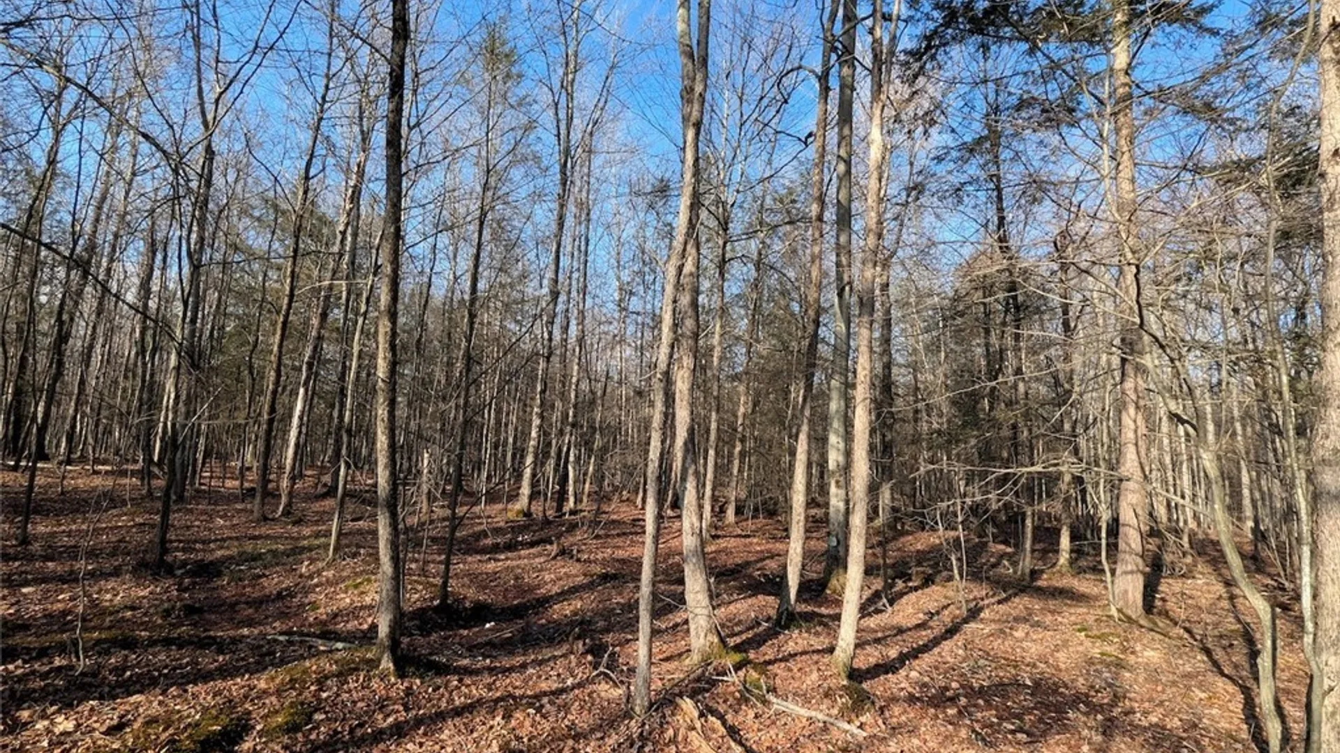 Property at South Road, Rathbone, NY 14801 15