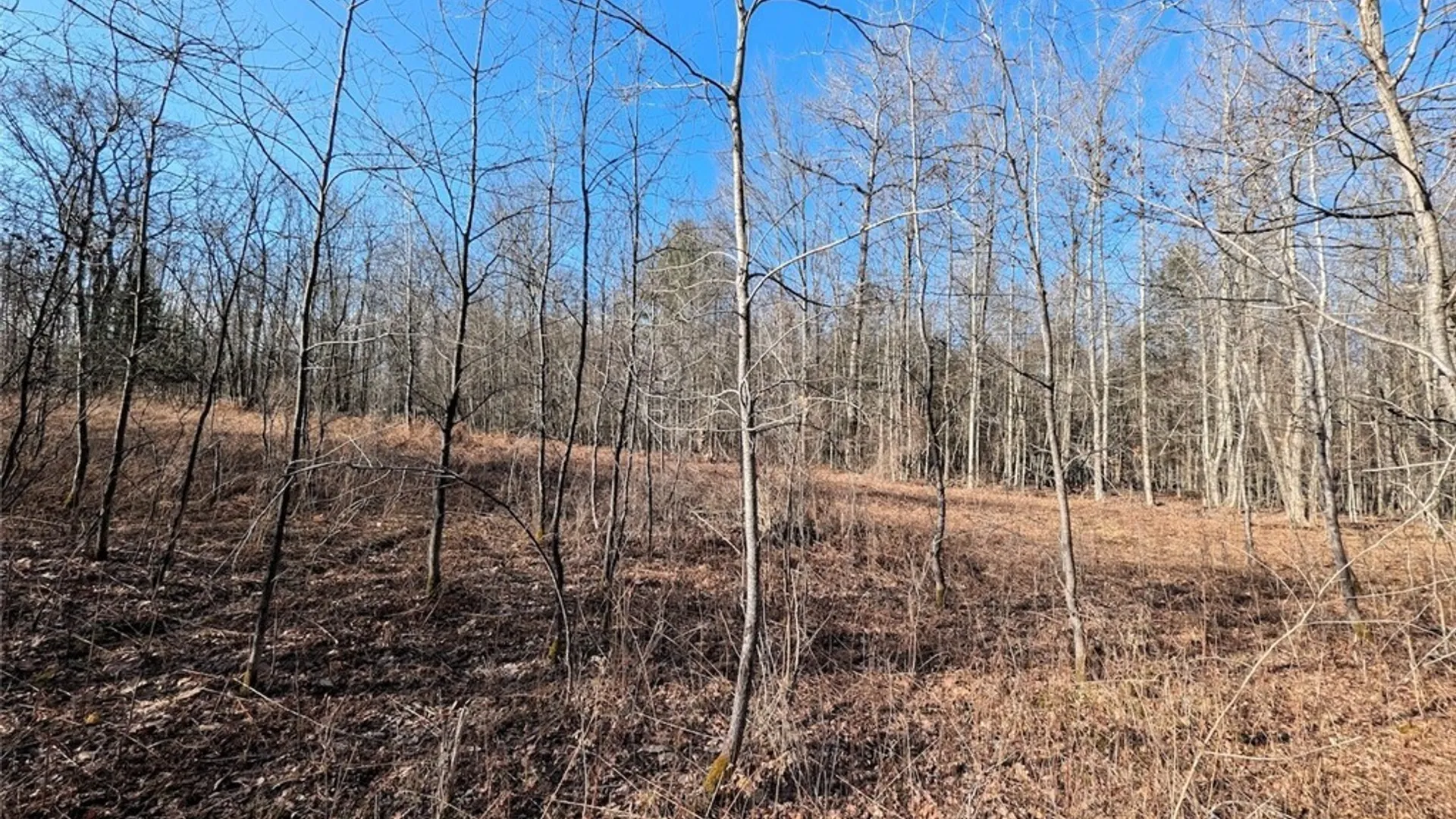 Property at South Road, Rathbone, NY 14801 16