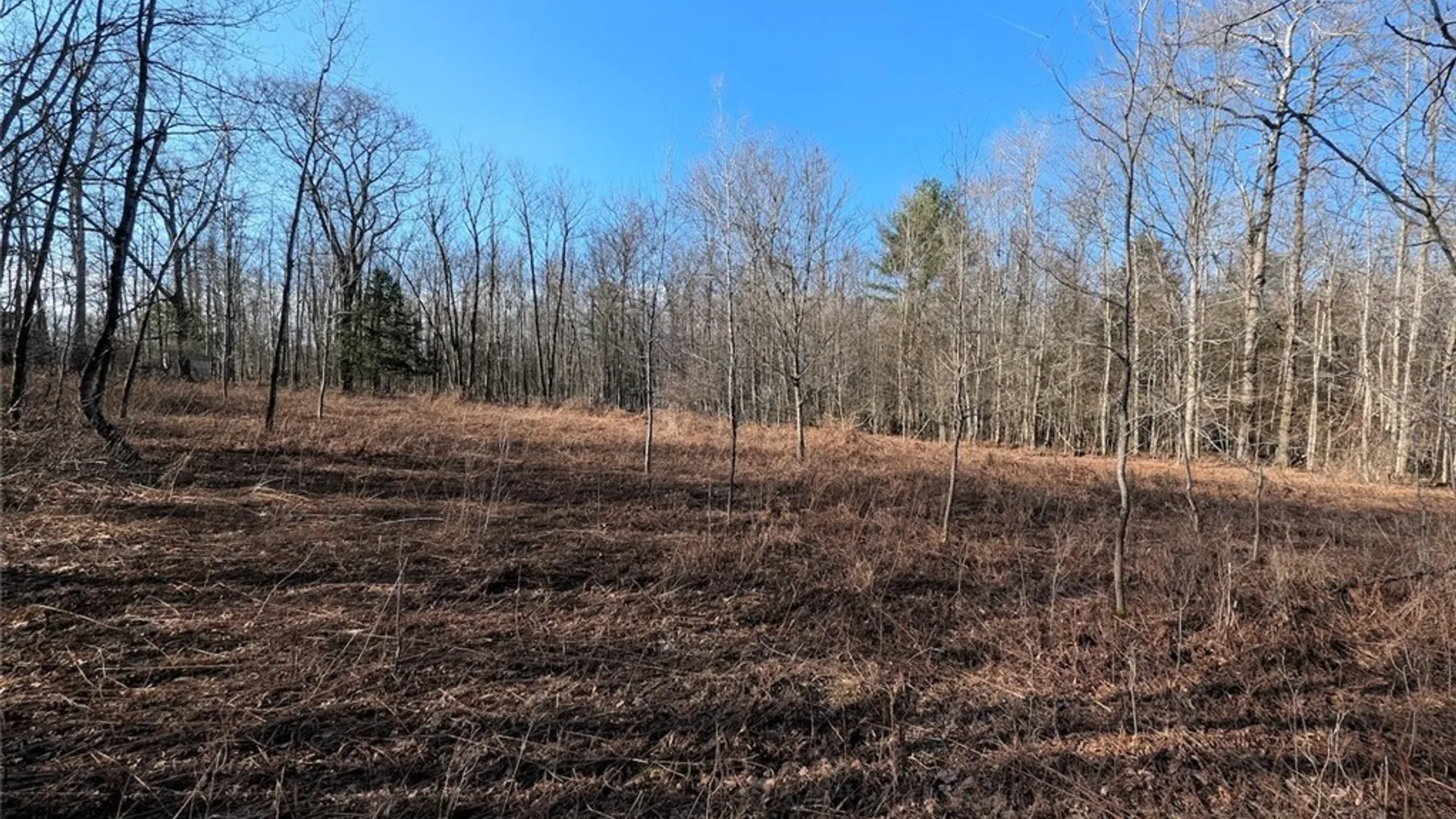 Property at South Road, Rathbone, NY 14801 17