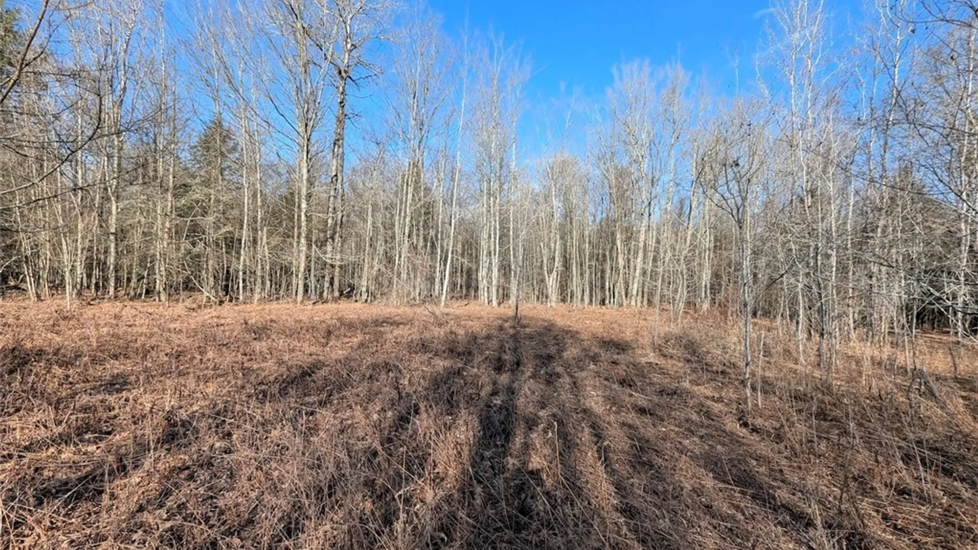 Property at South Road, Rathbone, NY 14801 18