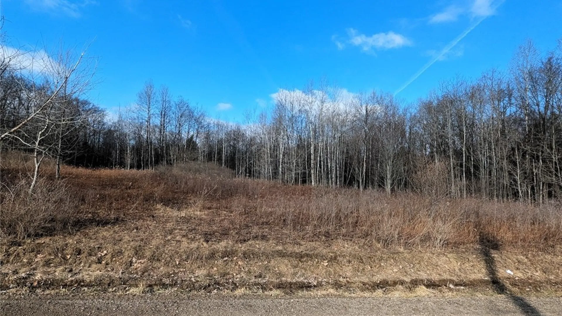 Property at South Road, Rathbone, NY 14801 19