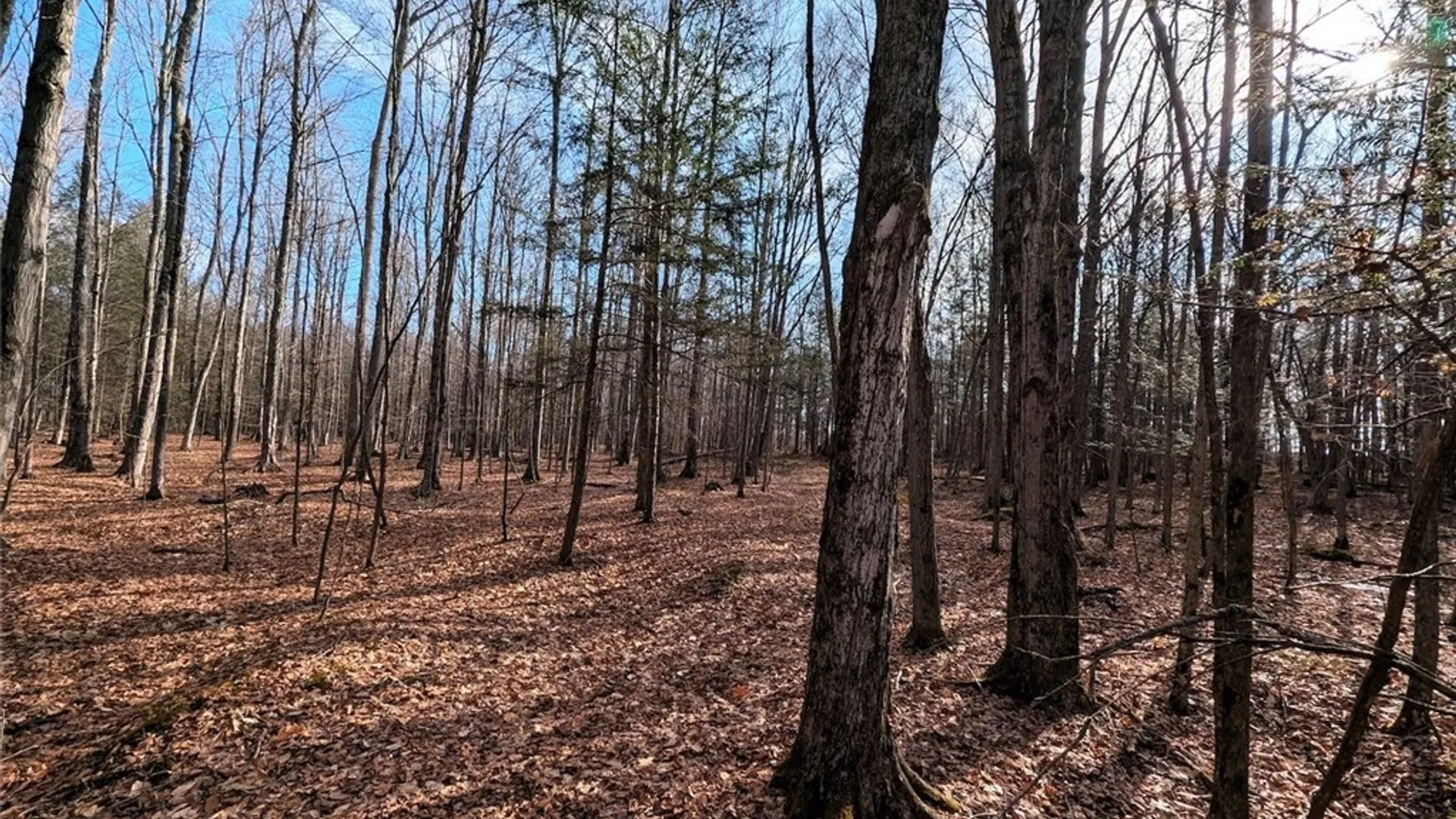 Property at South Road, Rathbone, NY 14801 2